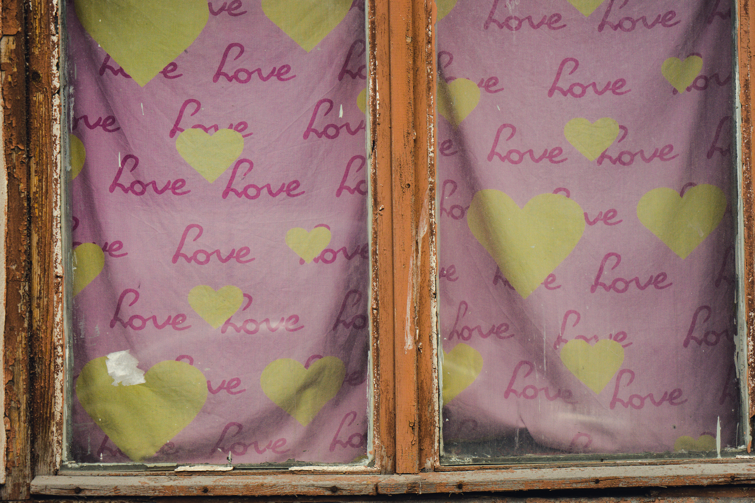 Цвет девичьих иллюзий. Фотограф Екатерина Веденина