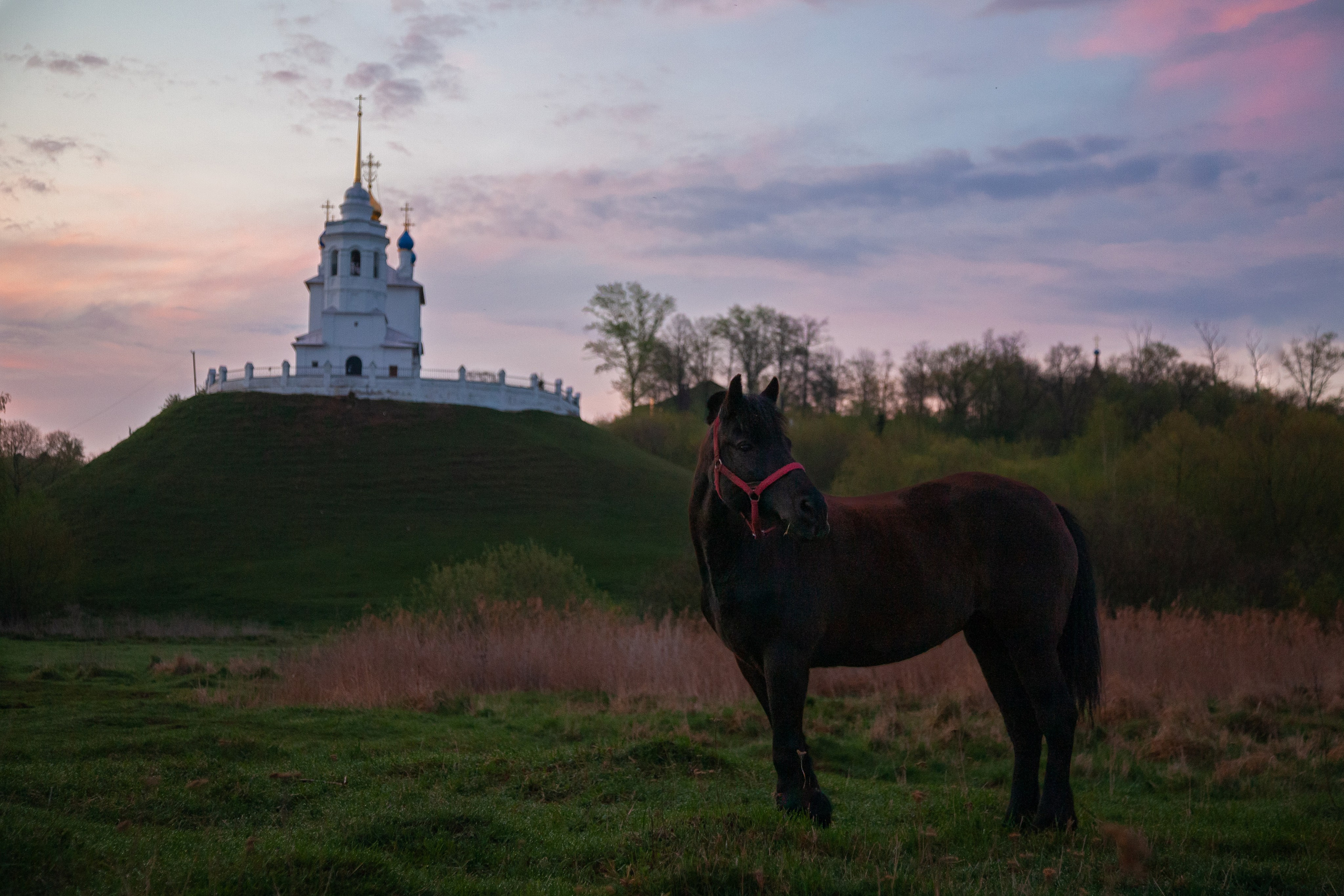 Епифань. Фотограф и видеооператор в Туле | Даниил Рыбак