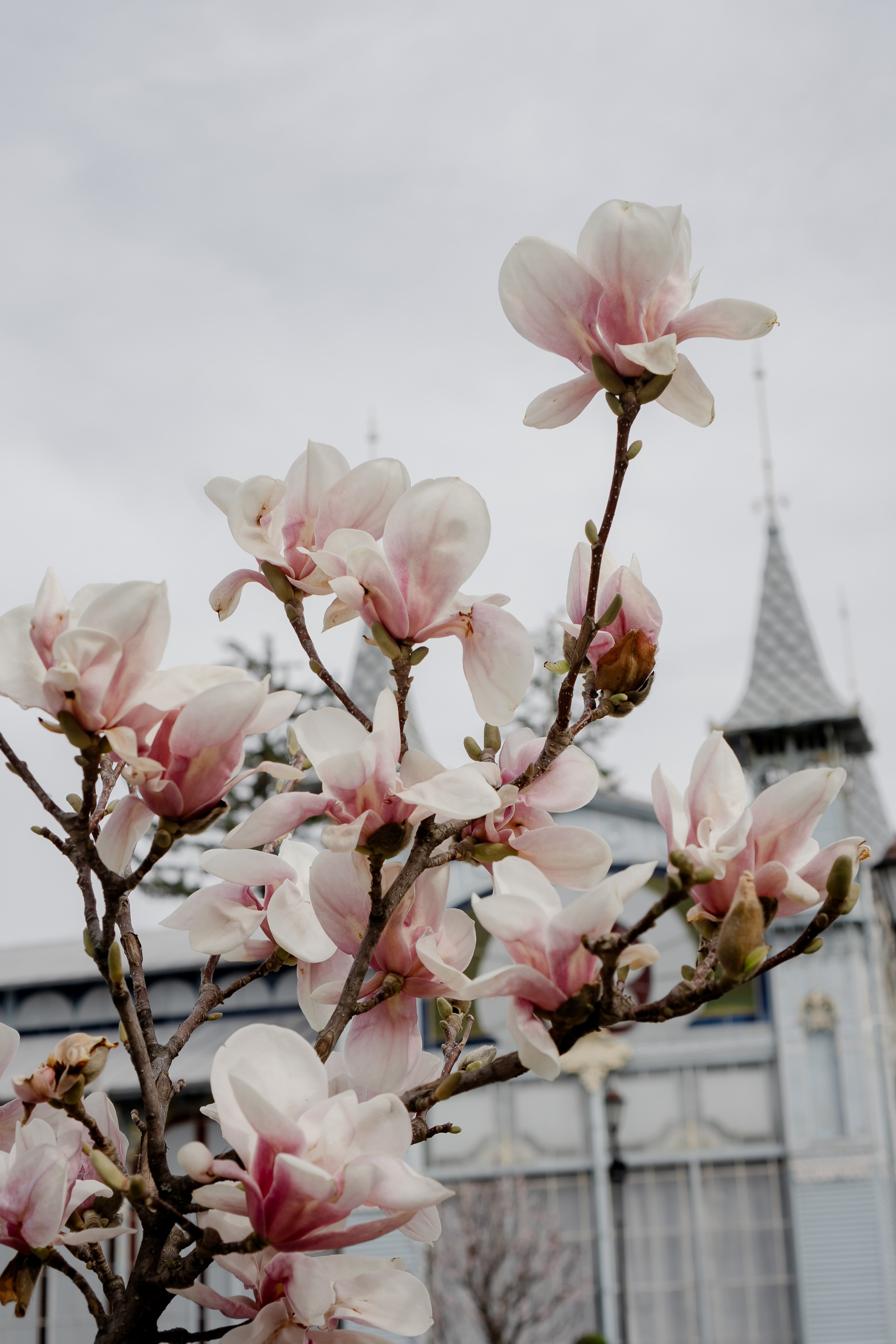 ПЯТИГОРСК. Профессиональный фотограф, Санкт-Петербург — Виктория Богомолова