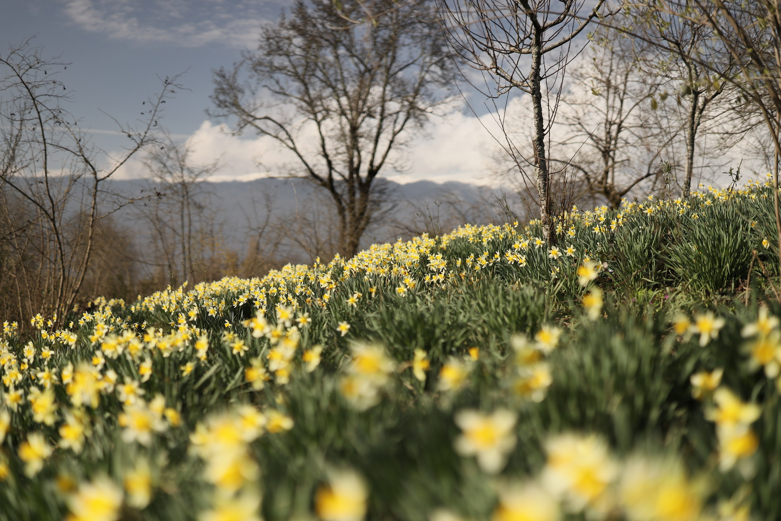 Фотосессия в весенней Гагре. Свадебный и семейный фотограф в Абхазии Жанна Соснина