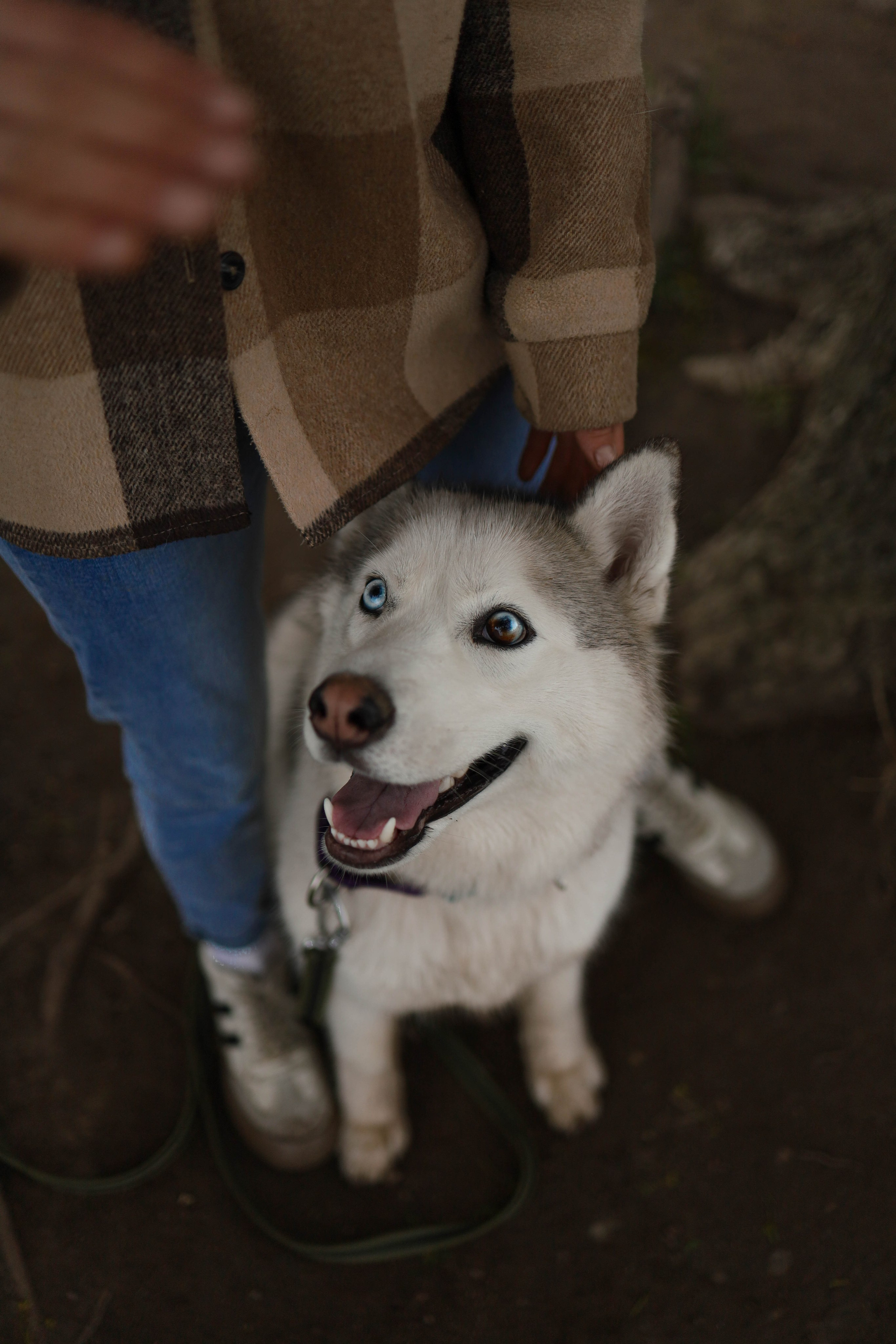 Шанти и Катя. Фотограф-анималист в Санкт-Петеребурге Титова Алиса