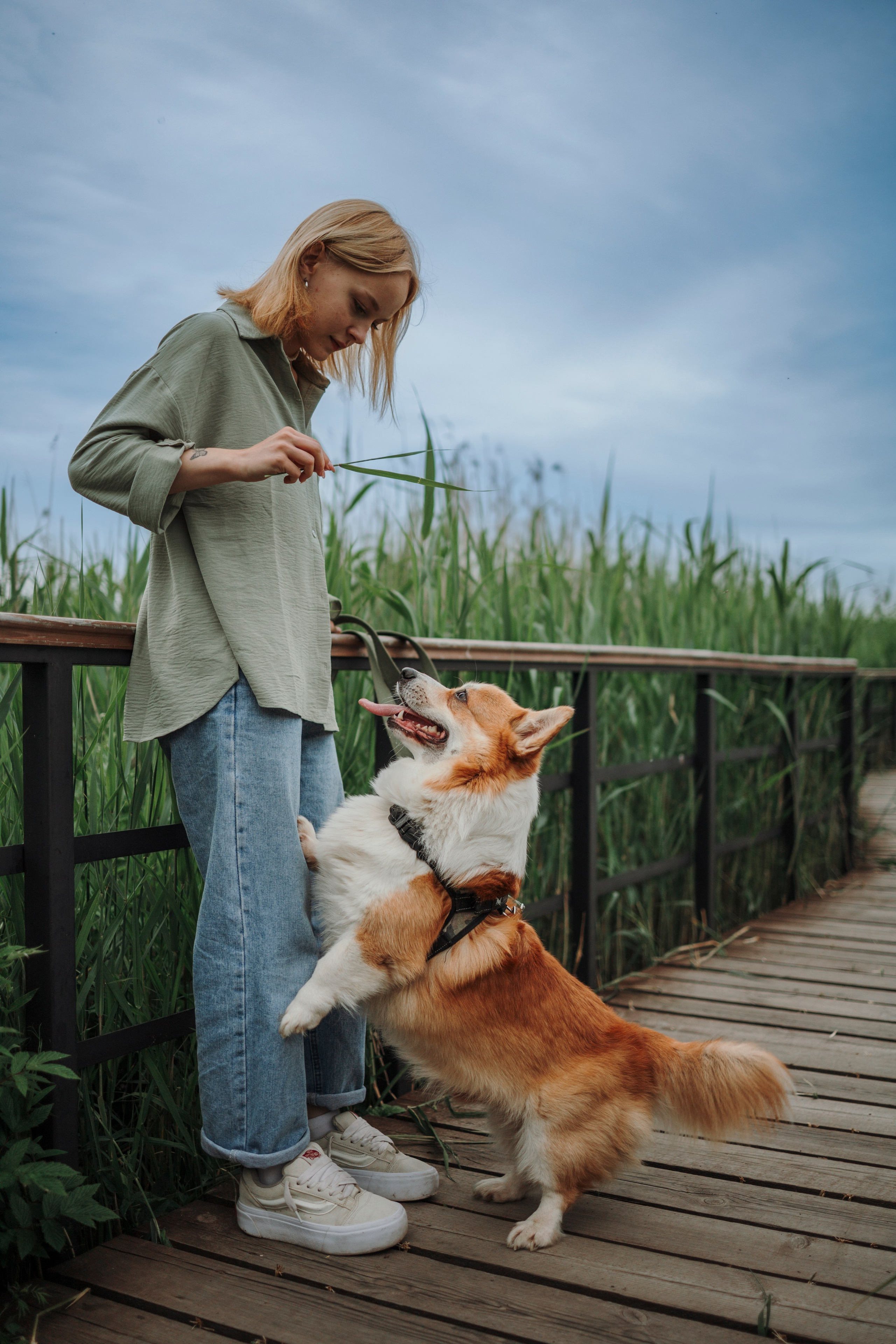 Даша и корги Рудик. Фотограф-анималист в Санкт-Петеребурге Титова Алиса