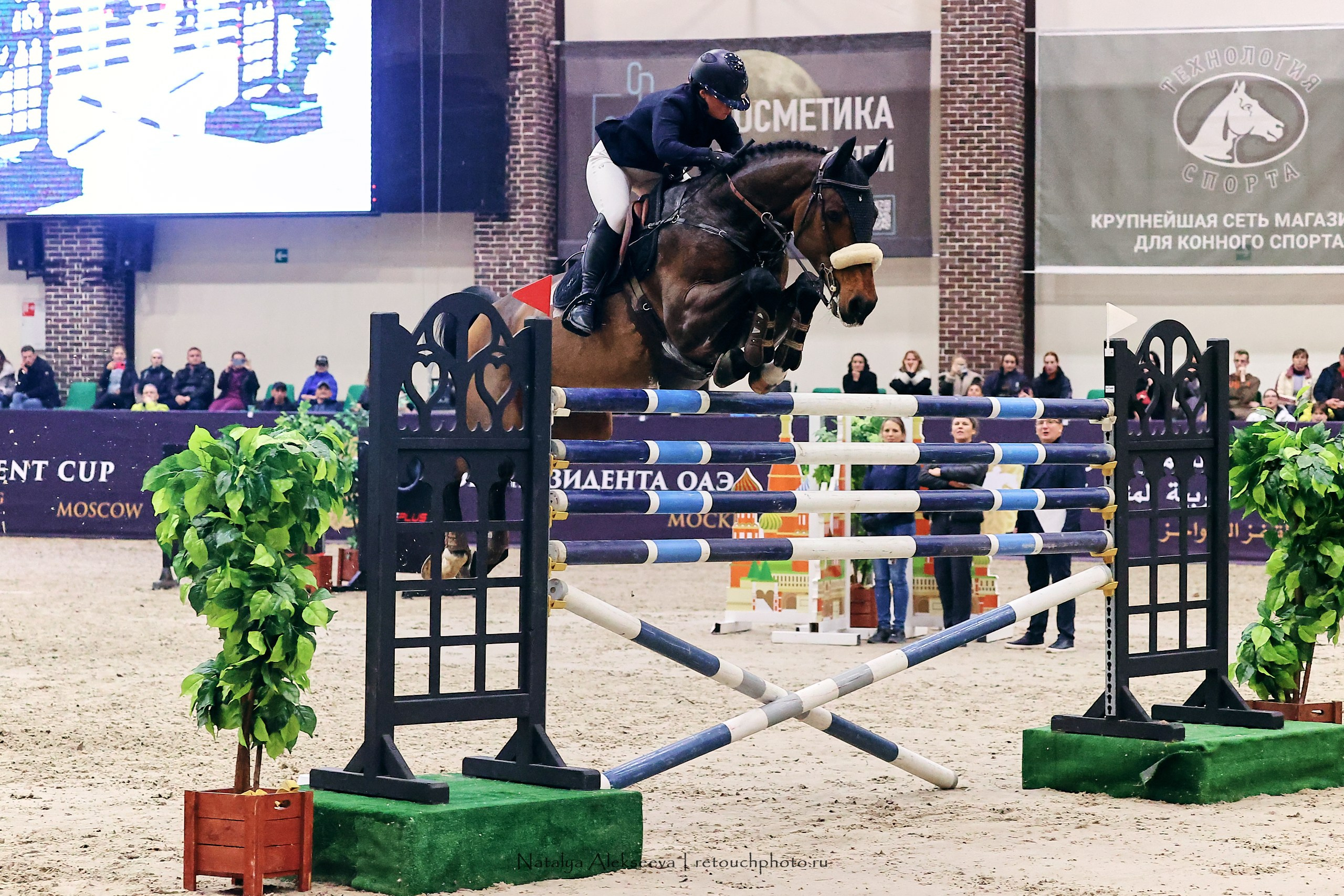 Кубок Президента ОАЭ по конкуру, Maxima Stables | 11'2023. Репортажный фотограф и ретушер в Москве Наталья Алексеева