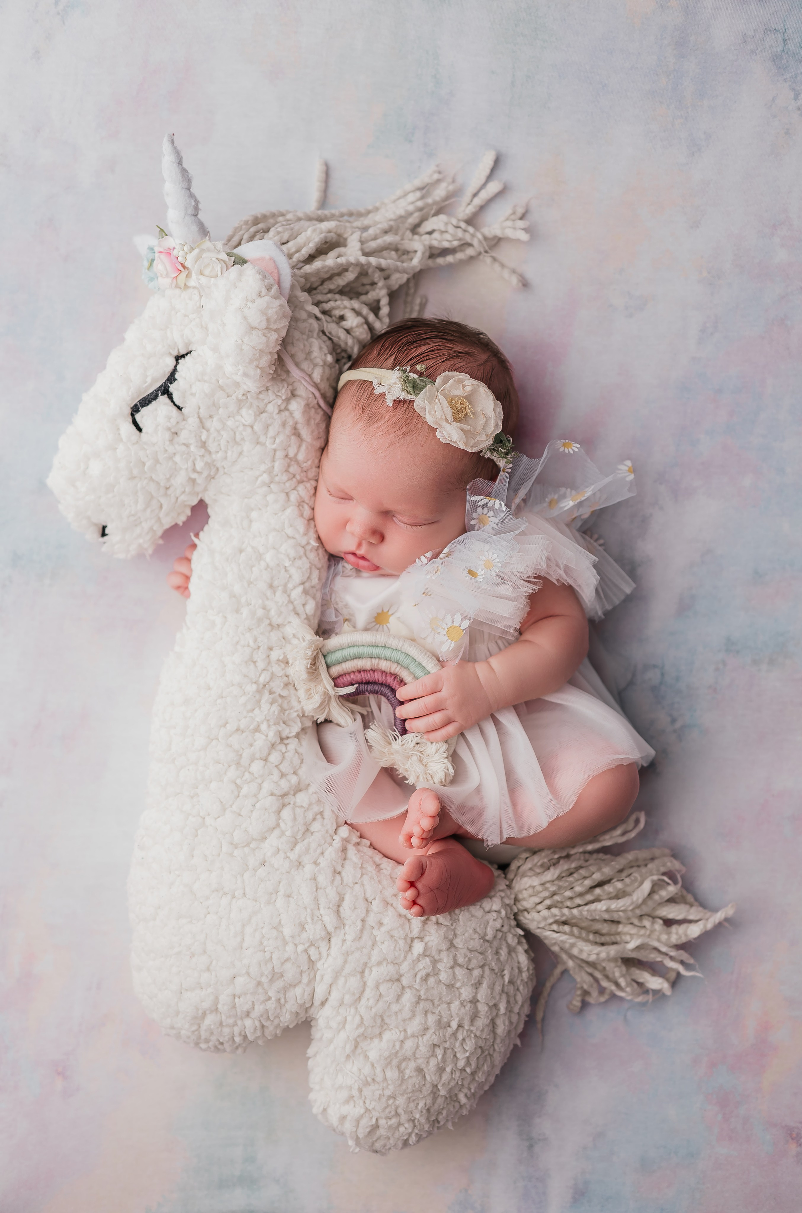 Фотографии новорожденных. Петрова Евгения фотограф новорожденных в Барнауле. Евгения Петрова — семейный и детский фотограф, фотограф новорожденных в Барнауле