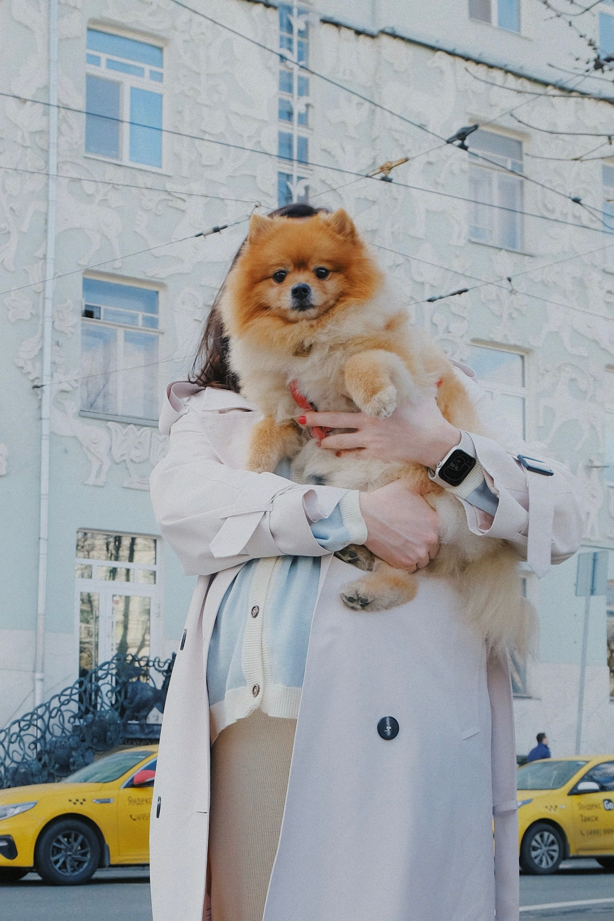 Питомцы. Татьян гертье