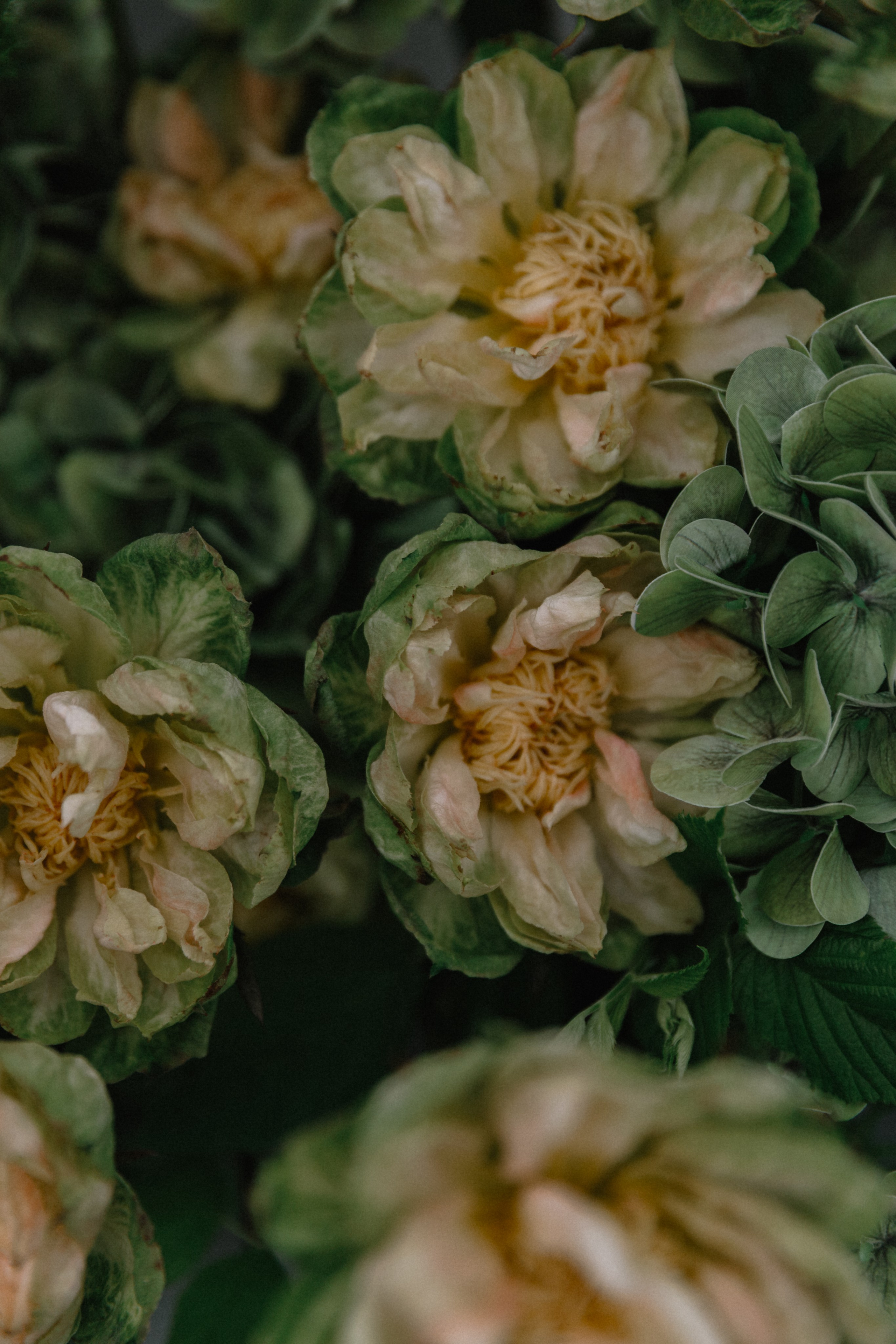 Карина + Дима: банкет. Николь — ваш любимый фотограф в Санкт-Петербурге