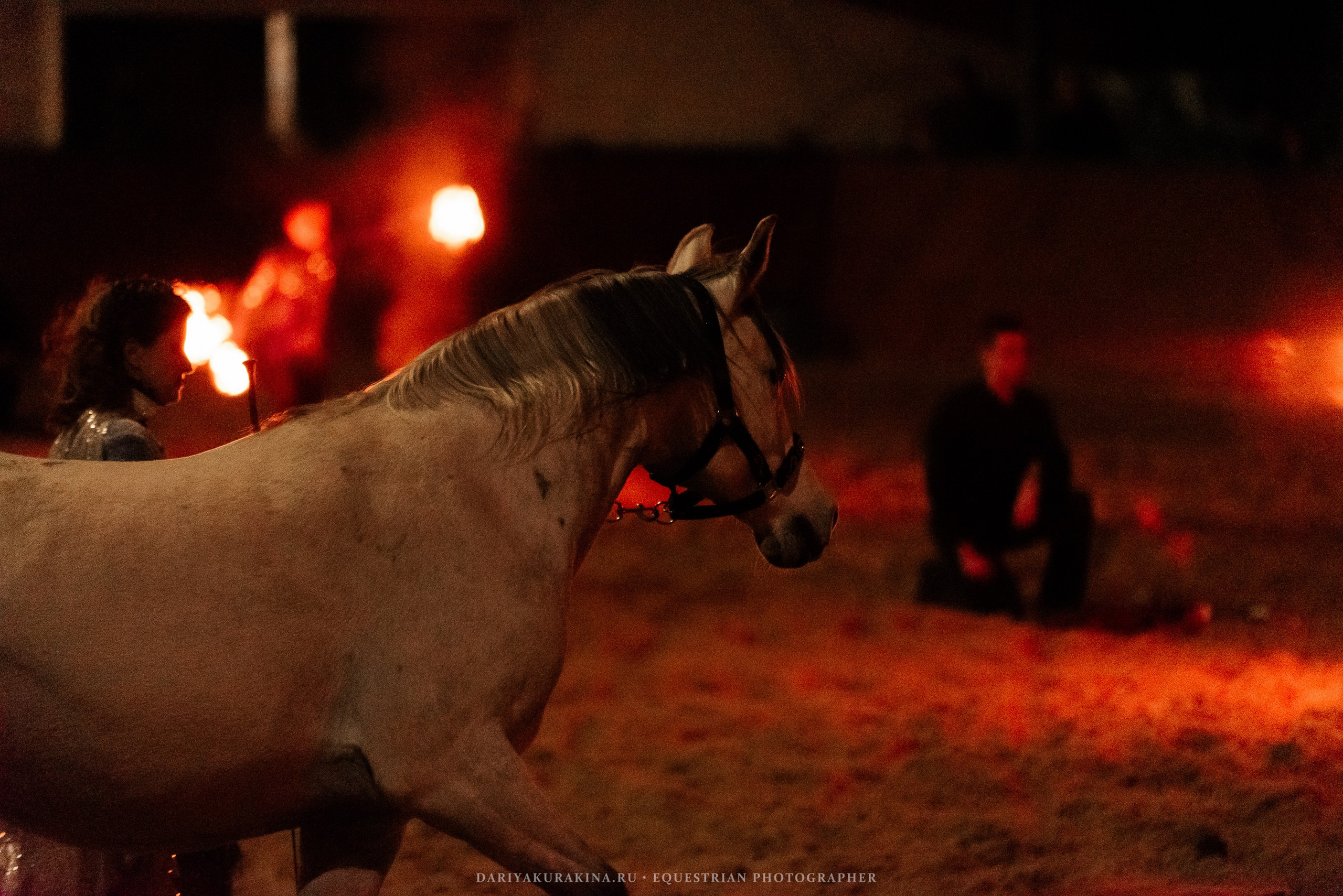 Конное представление «Дыхание Звёзд». Конный фотограф Куракина Дарья • Фотосессии с лошадьми