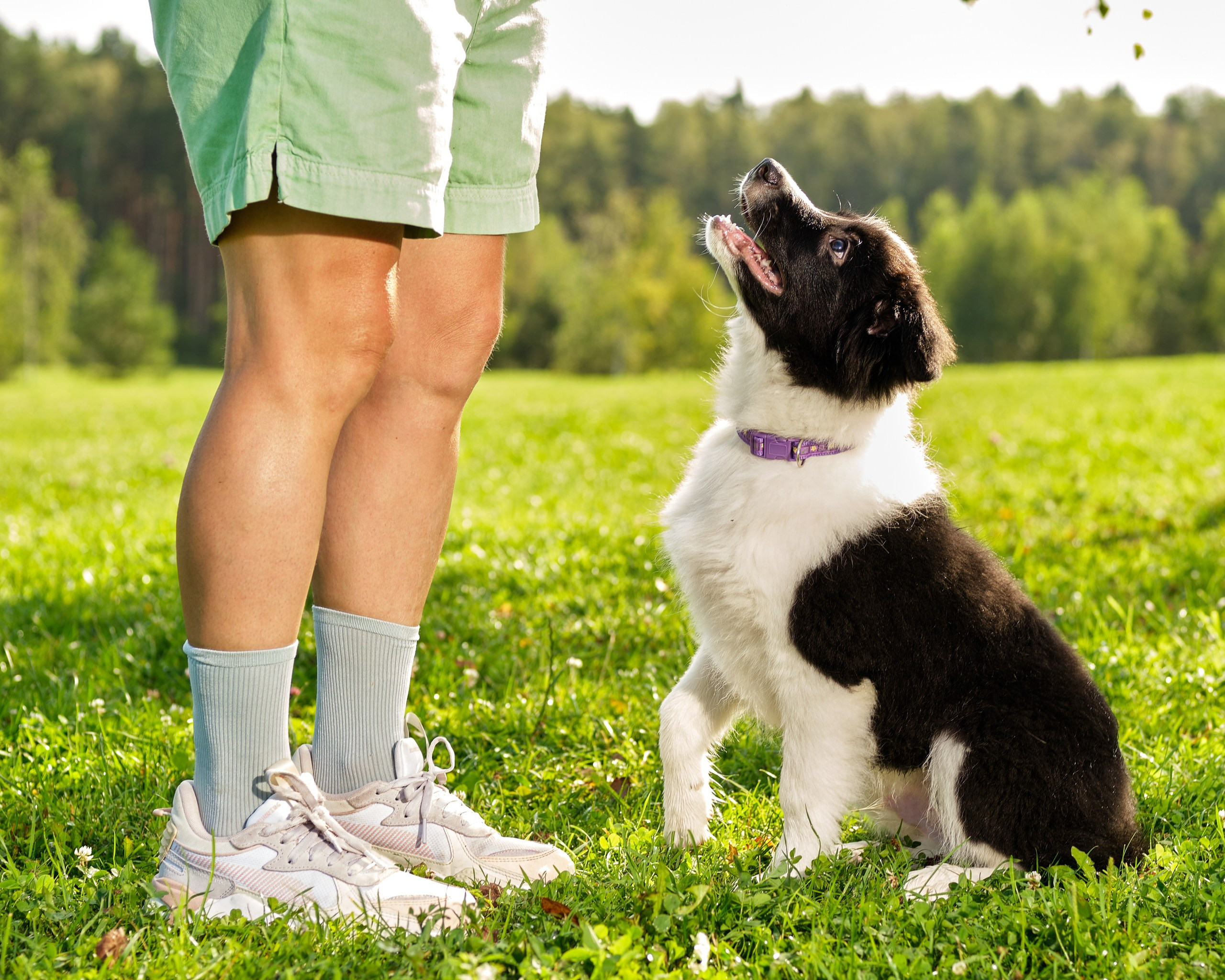 Фотограф животных в Москве и московской области. Профессиональный фотограф в Москве — Максим Дьяконов
