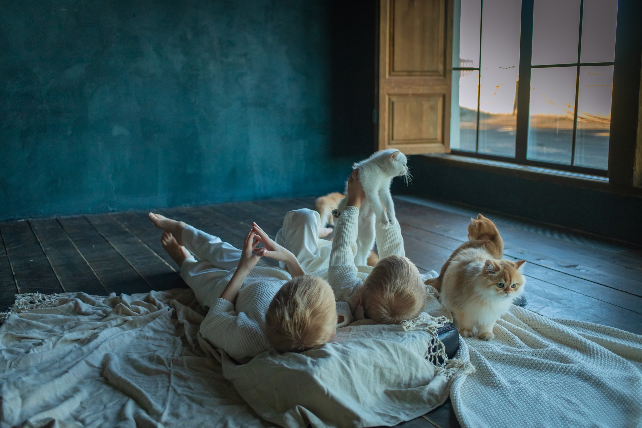 Детская фотосессия с котятками в студии в СПБ