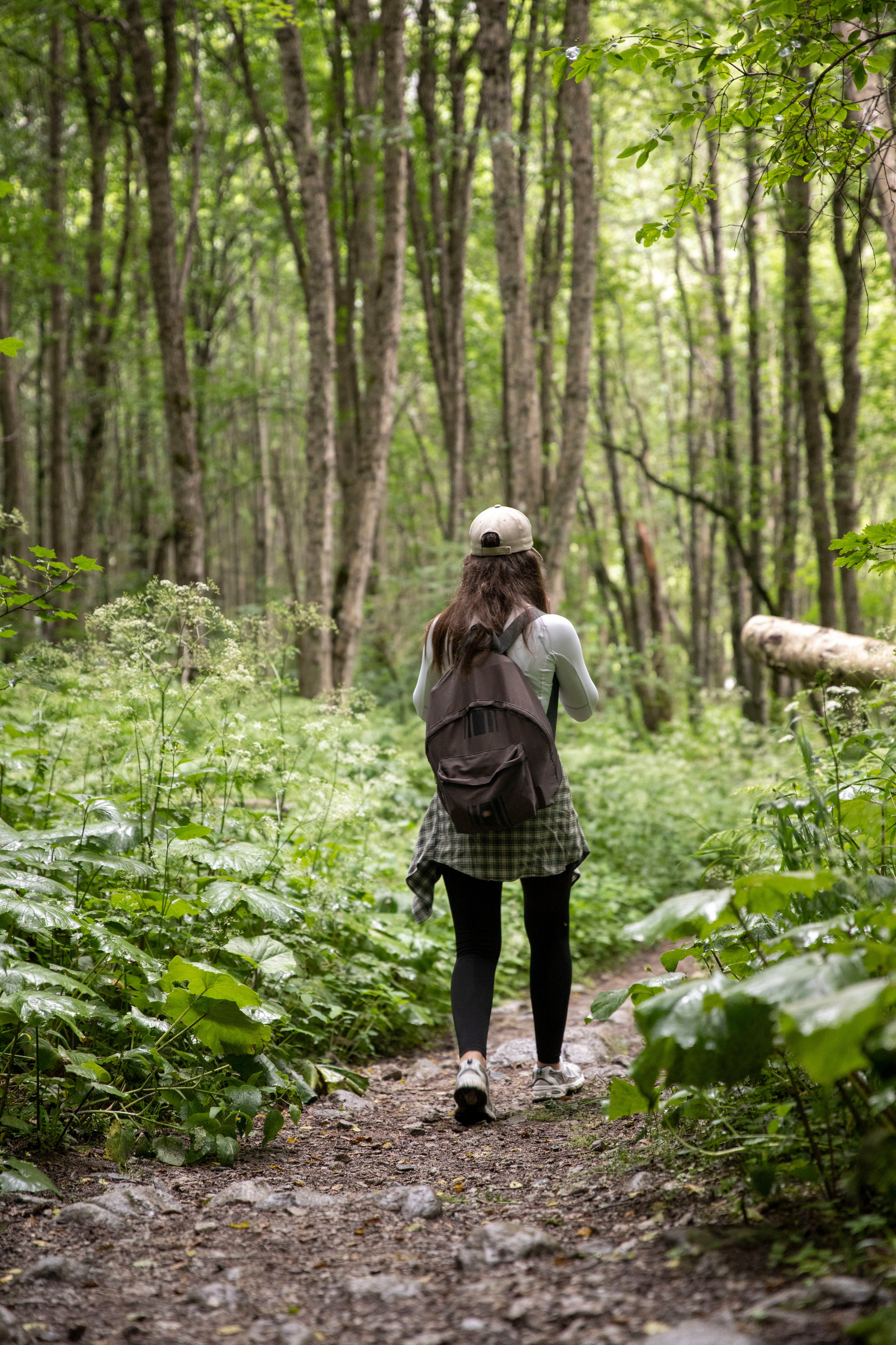 Осетия. Цей. Треккинг