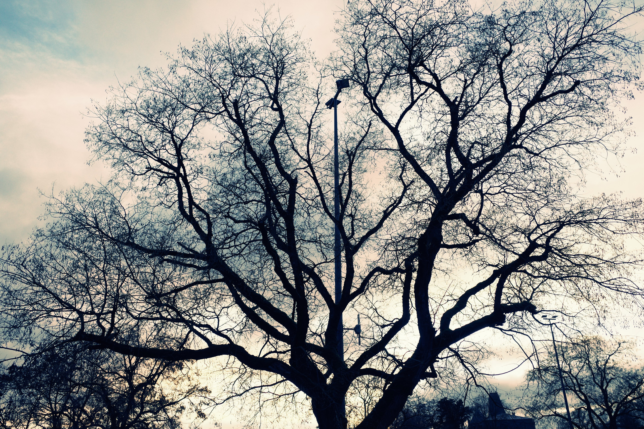 Люксембург. Фотографирую для себя, своей семьи и друзей!