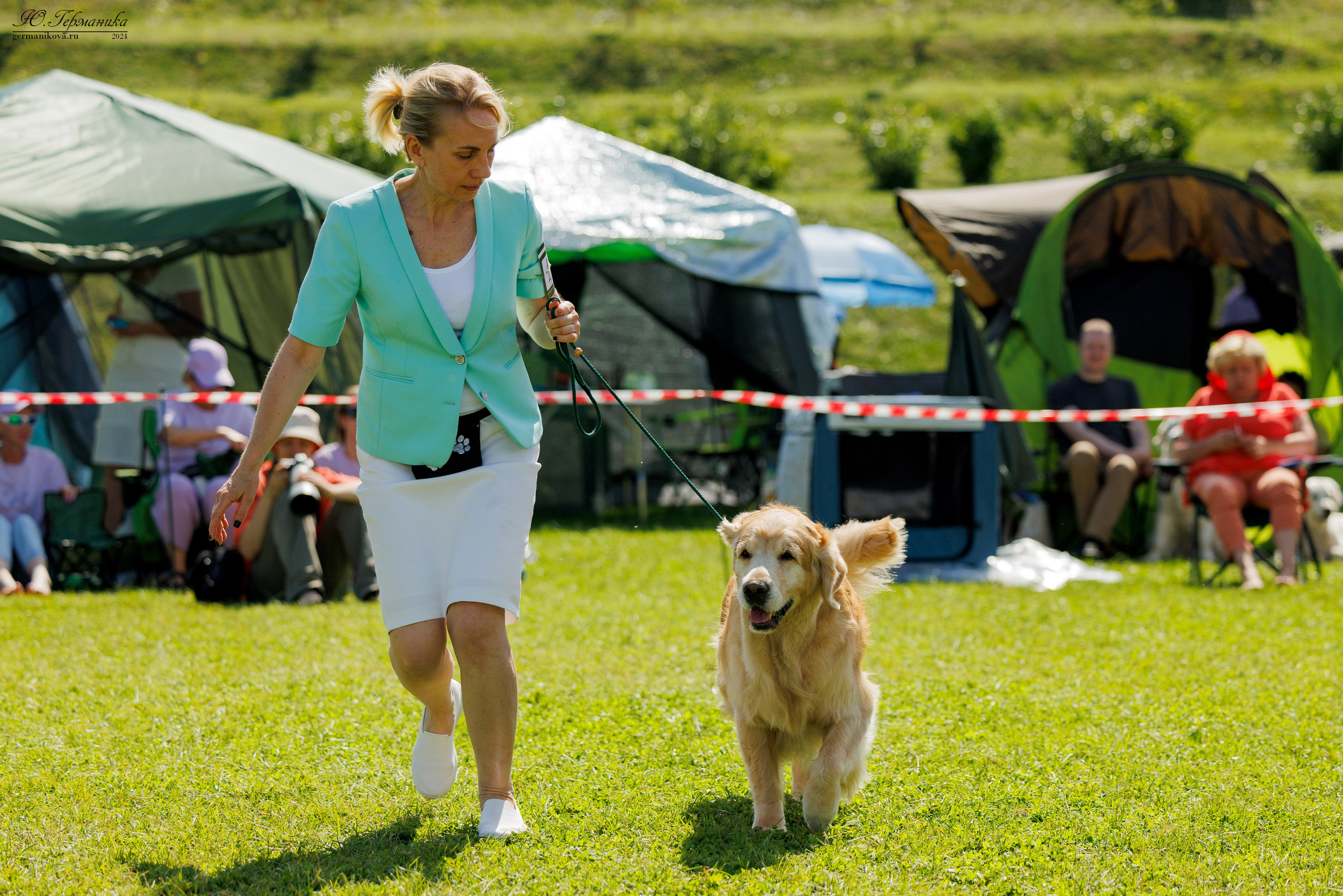 Голдены 15-16.06.2024. Фотограф-анималист Юлия Германика