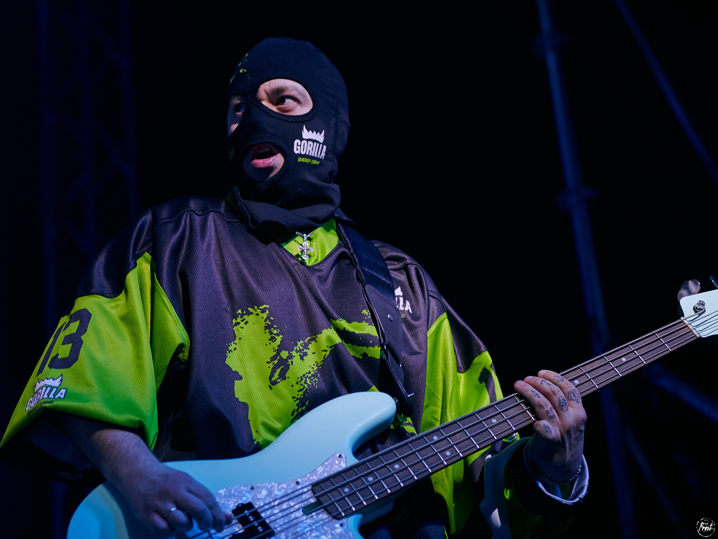 Кис-кис. Фотографии отовсюду и обо всем