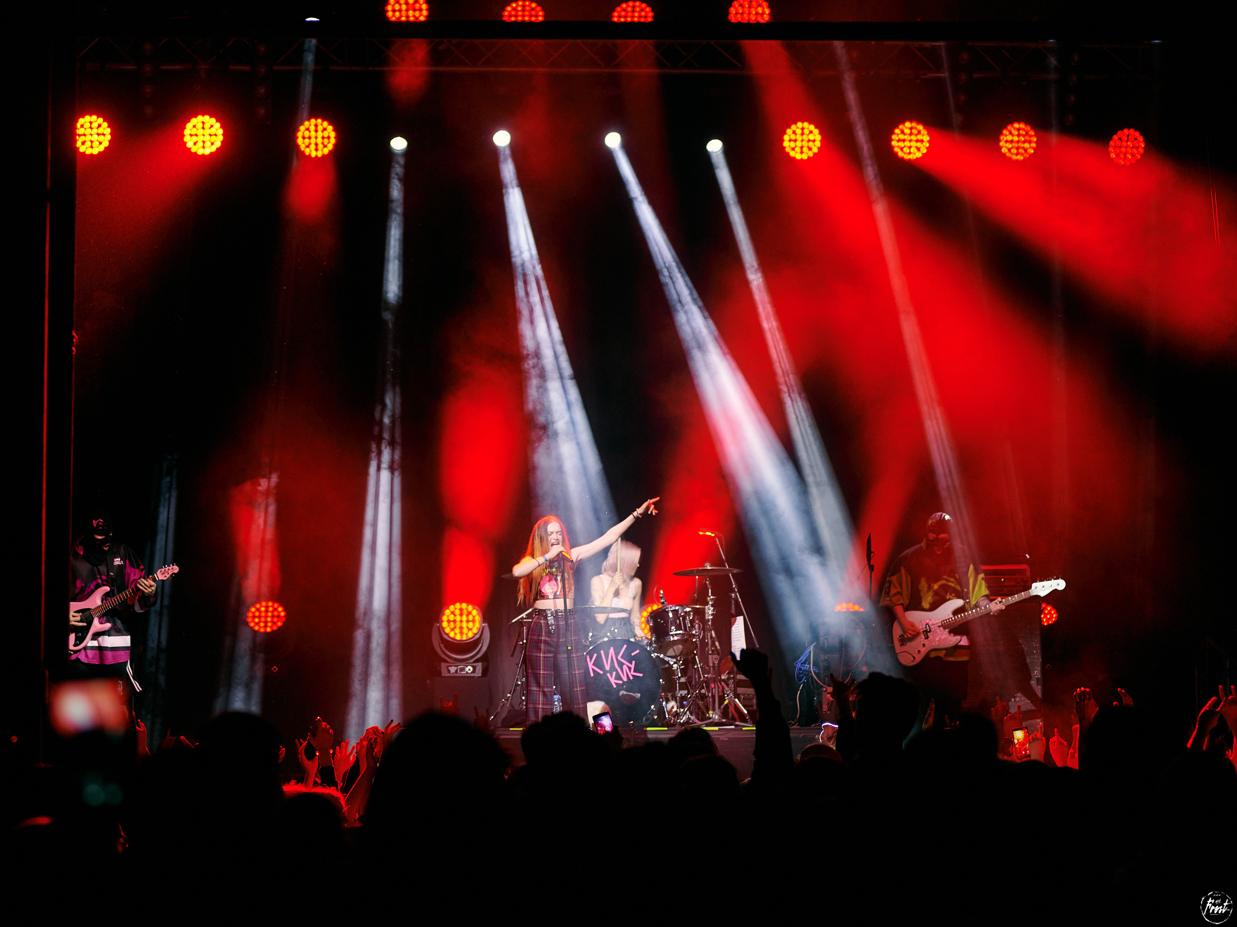 Кис-кис. Фотографии отовсюду и обо всем