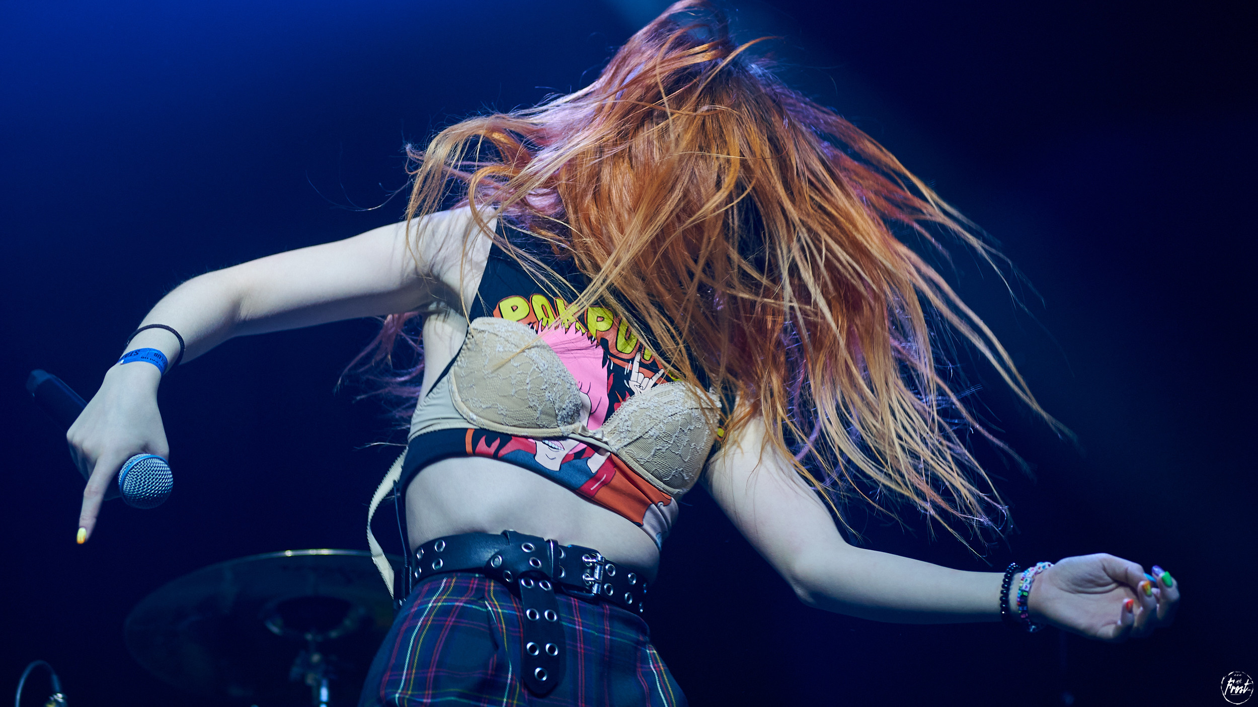 Кис-кис. Фотографии отовсюду и обо всем