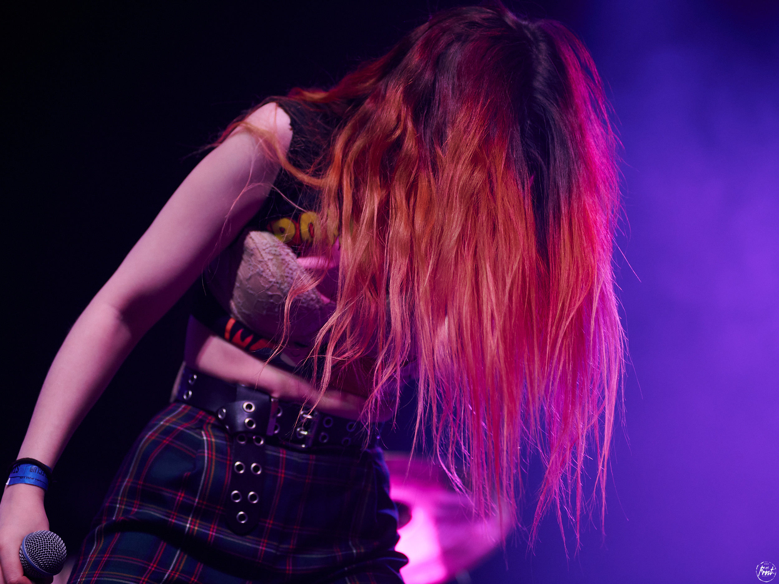 Кис-кис. Фотографии отовсюду и обо всем