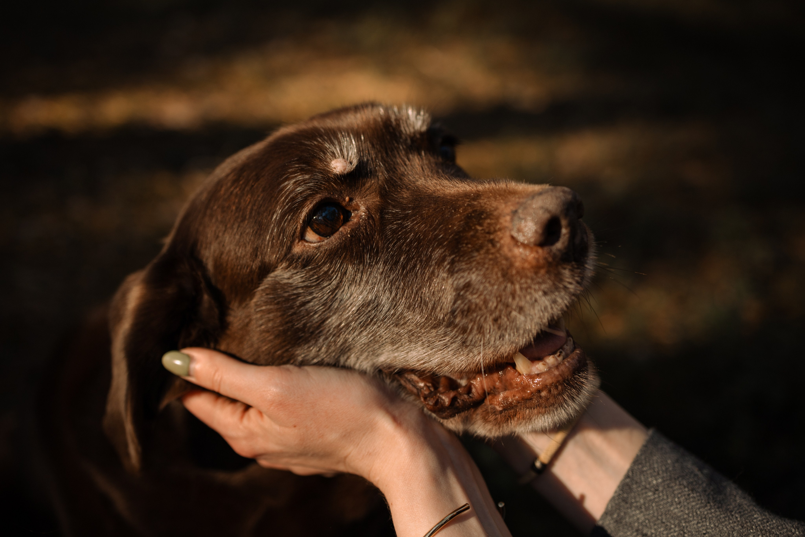 Оля и Питоня. Фотограф — Анималист | Санкт-Петербург