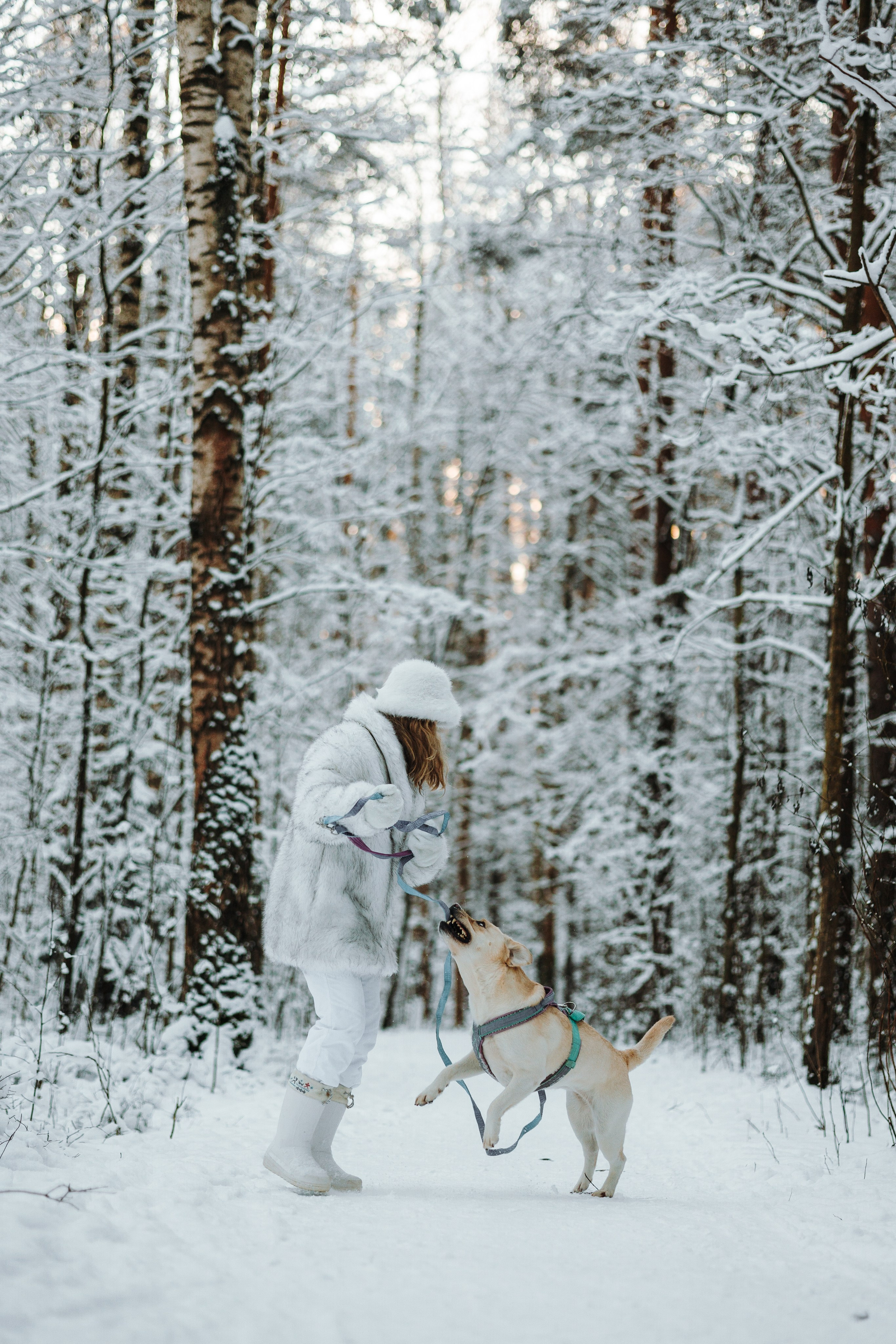 Ребята и их хвостатая семейка. Фотограф — Анималист | Санкт-Петербург