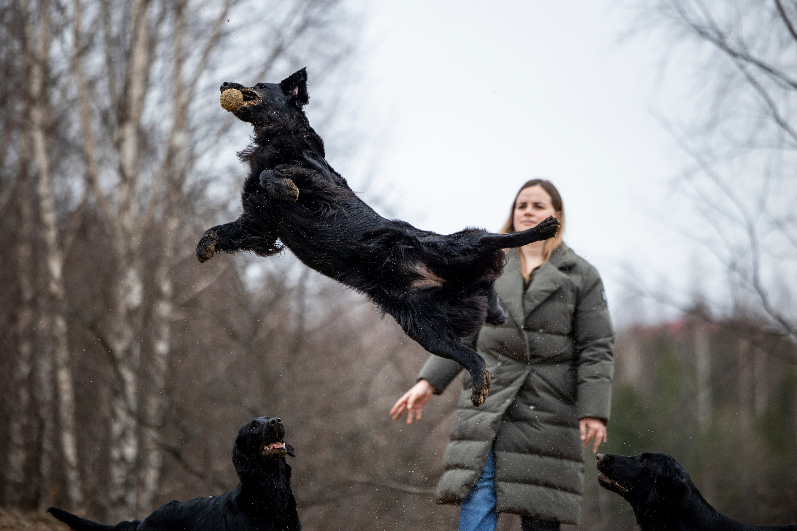 Ора, Ева, Рози и их семья. Фотограф — Анималист | Санкт-Петербург