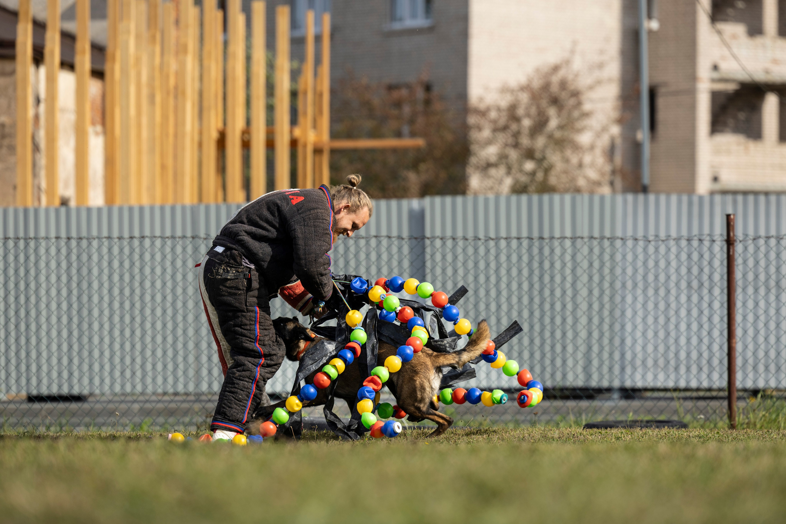 Испытания по Мондьорингу г. Пушкин. Фотограф-анималист Анна Маринич