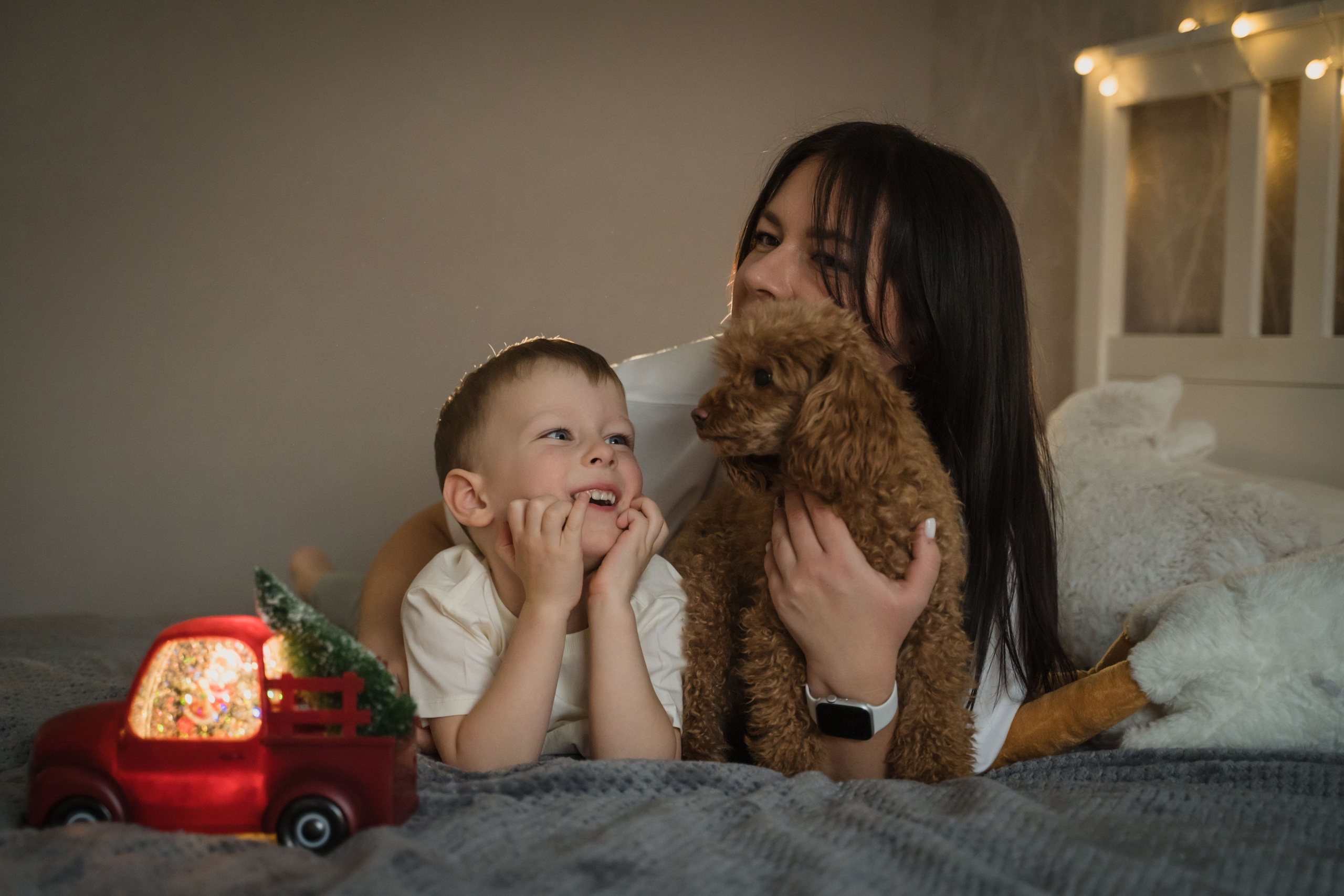 Предновогодний вечер. Главная