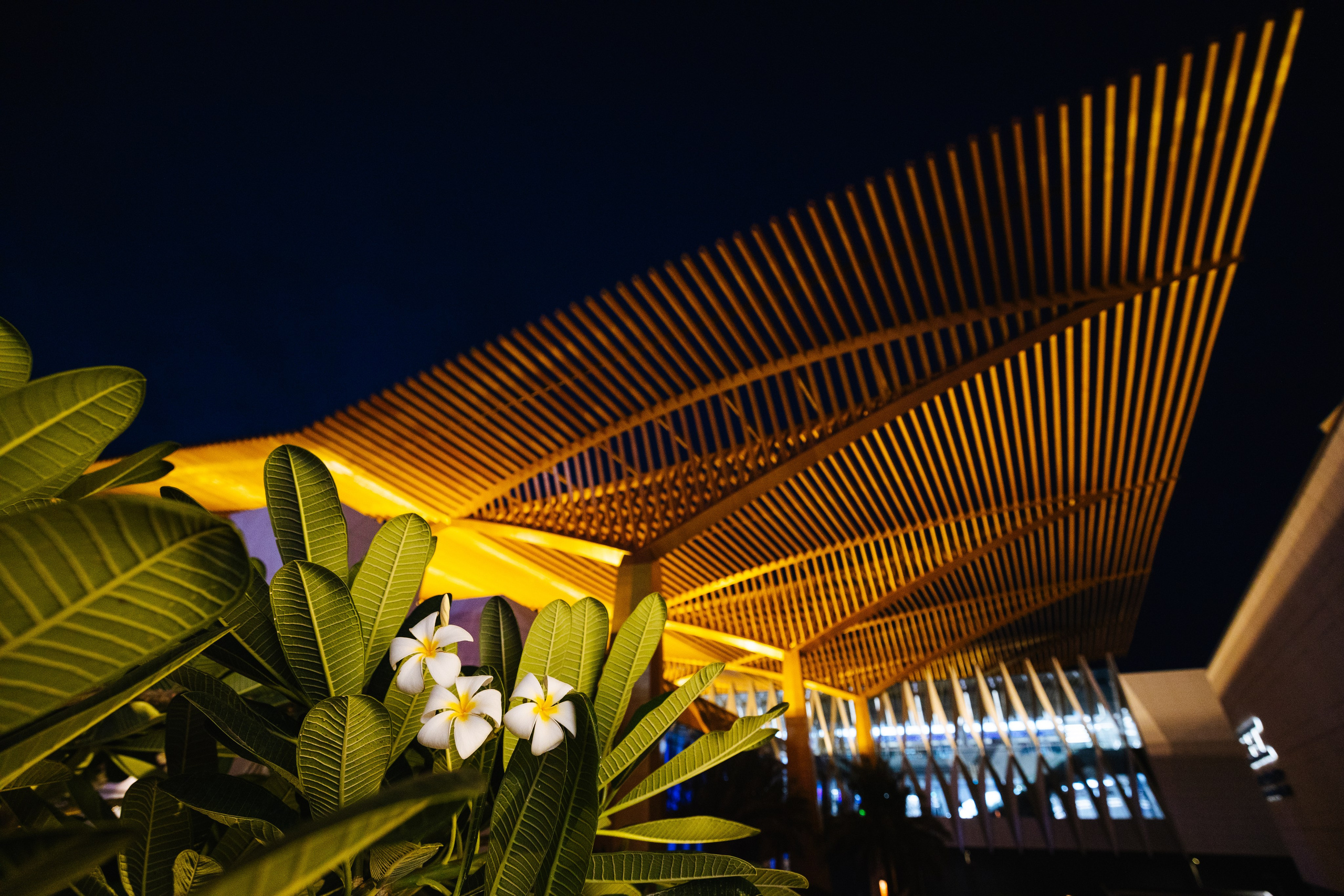 Дубай 2023. Руслан Плахтеев