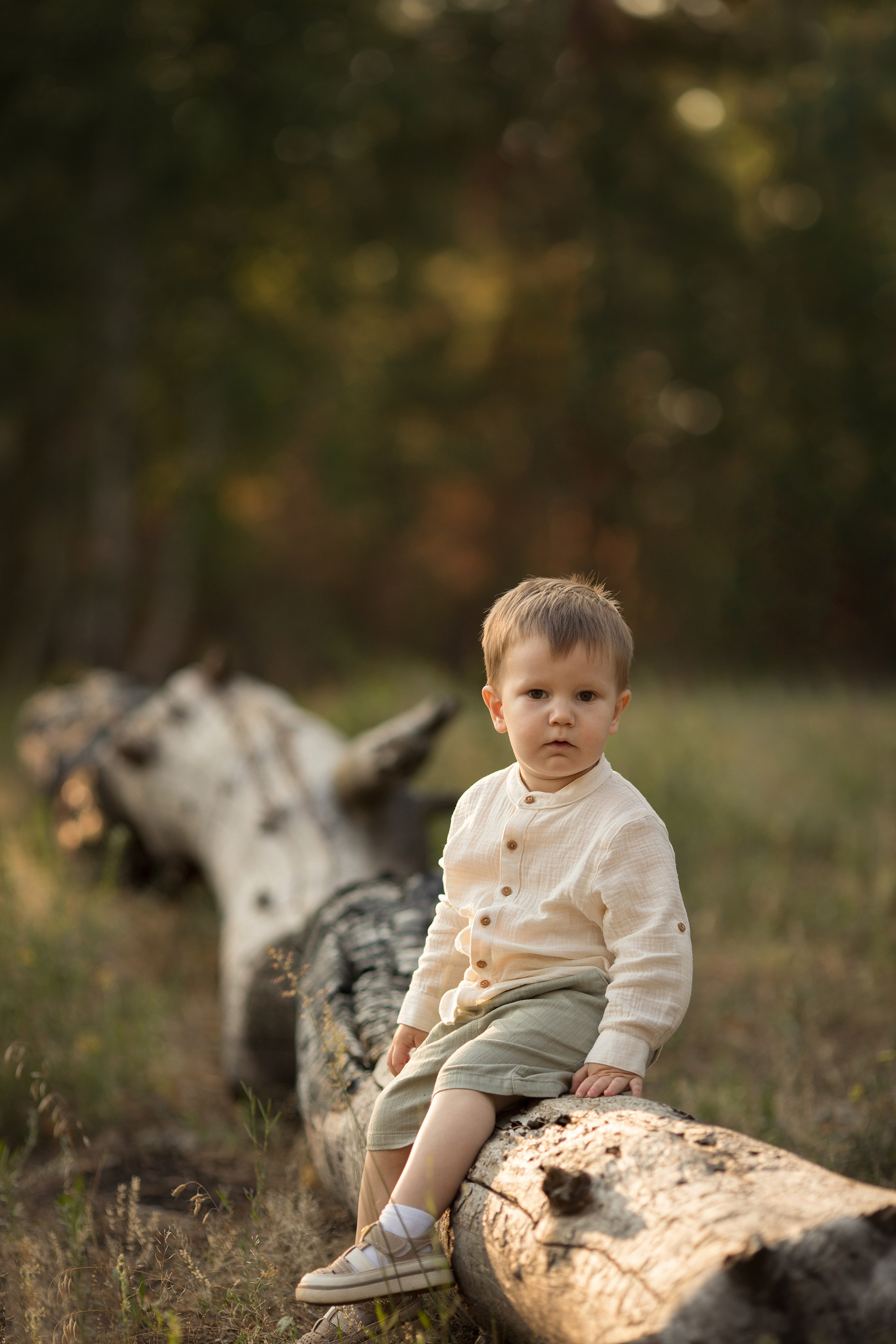 Солнечный лес. Семейный и детский фотограф в Саратове Полина Коткина