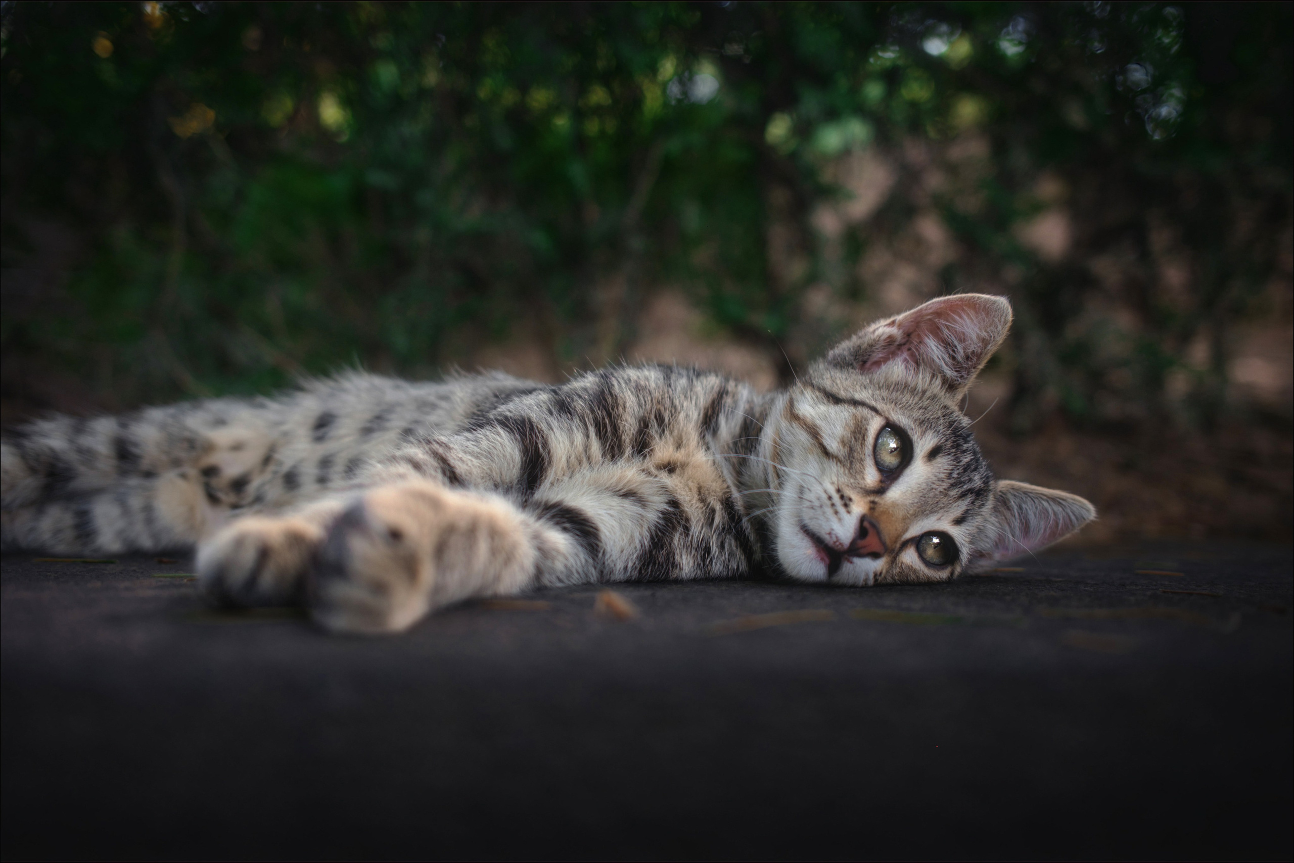 Улицы Грузии ч.9. Фотограф документалист Виктор Гаршнеп