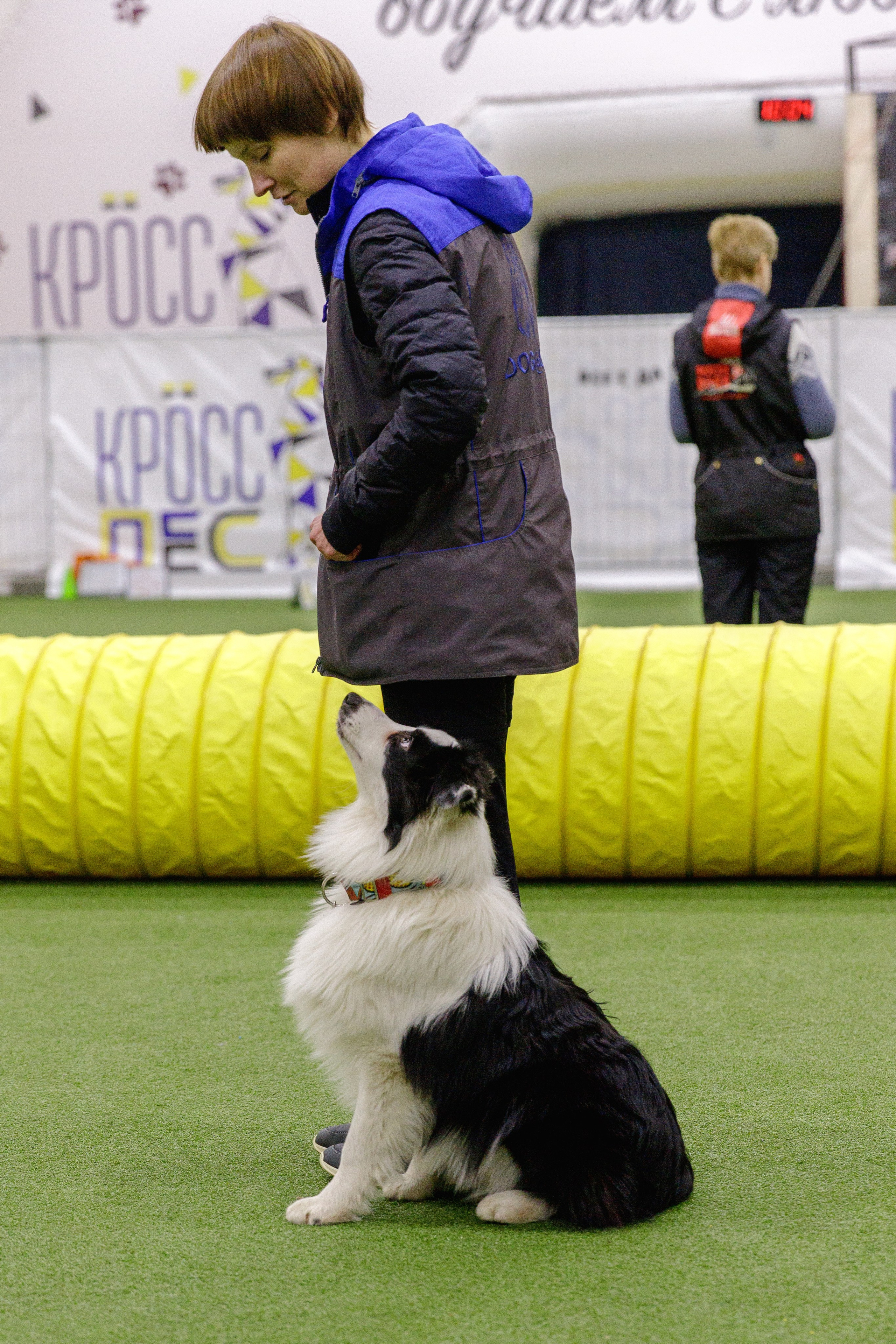 Карныш. BLGKV питомник собак