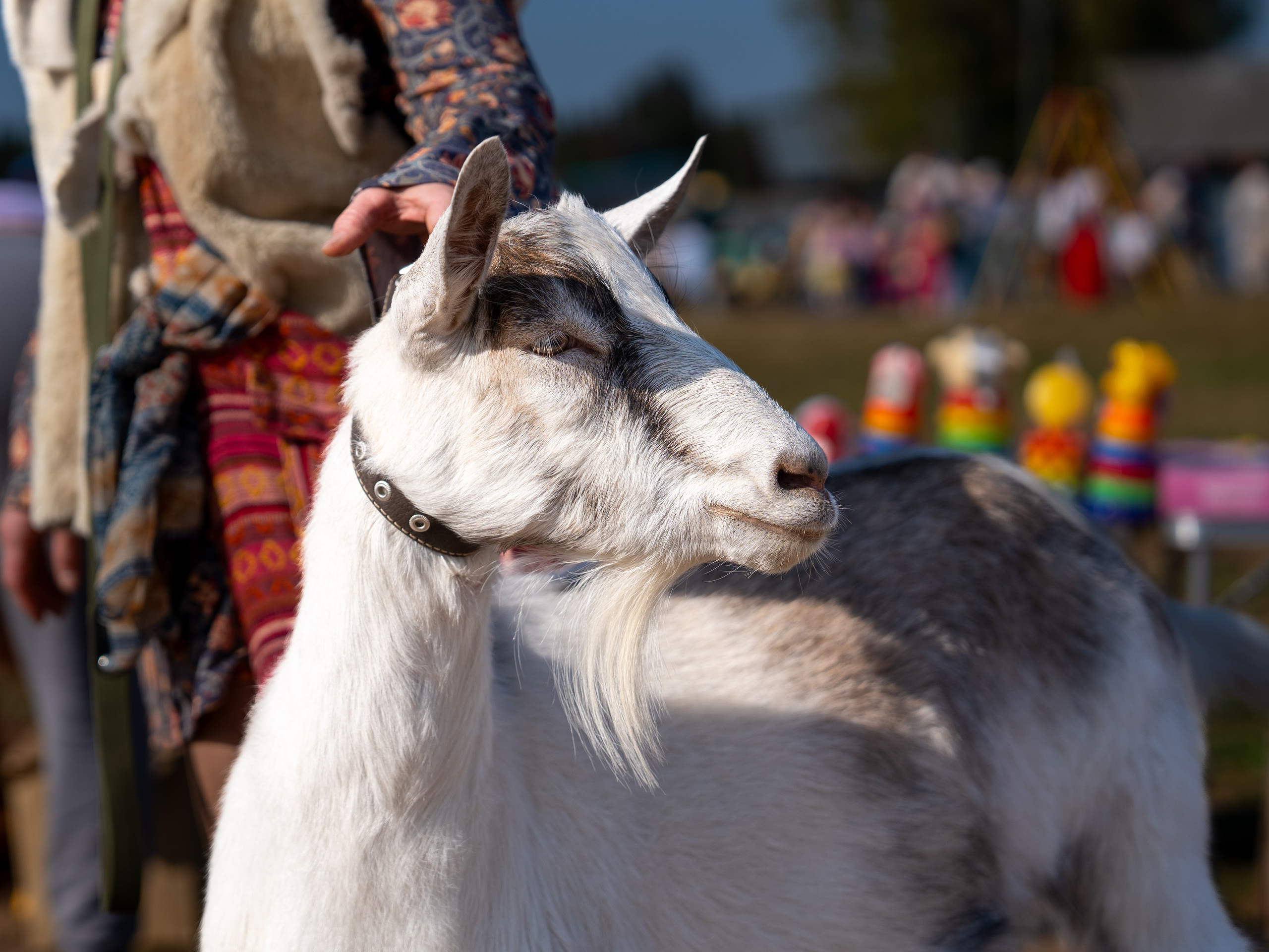 Ярмарка. Фотограф Наталья Сорока Ижевск