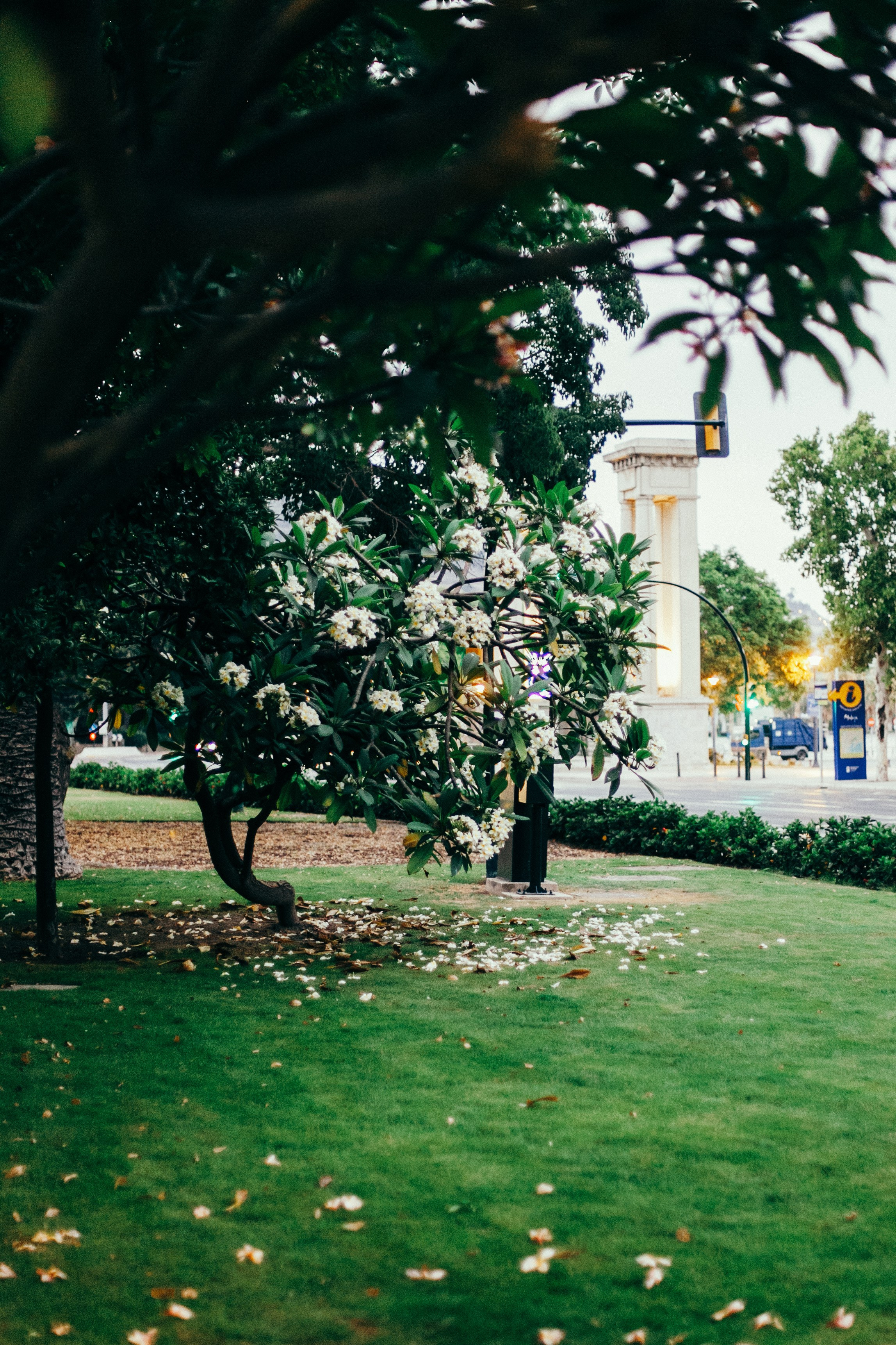 Малага. Аня Степанова