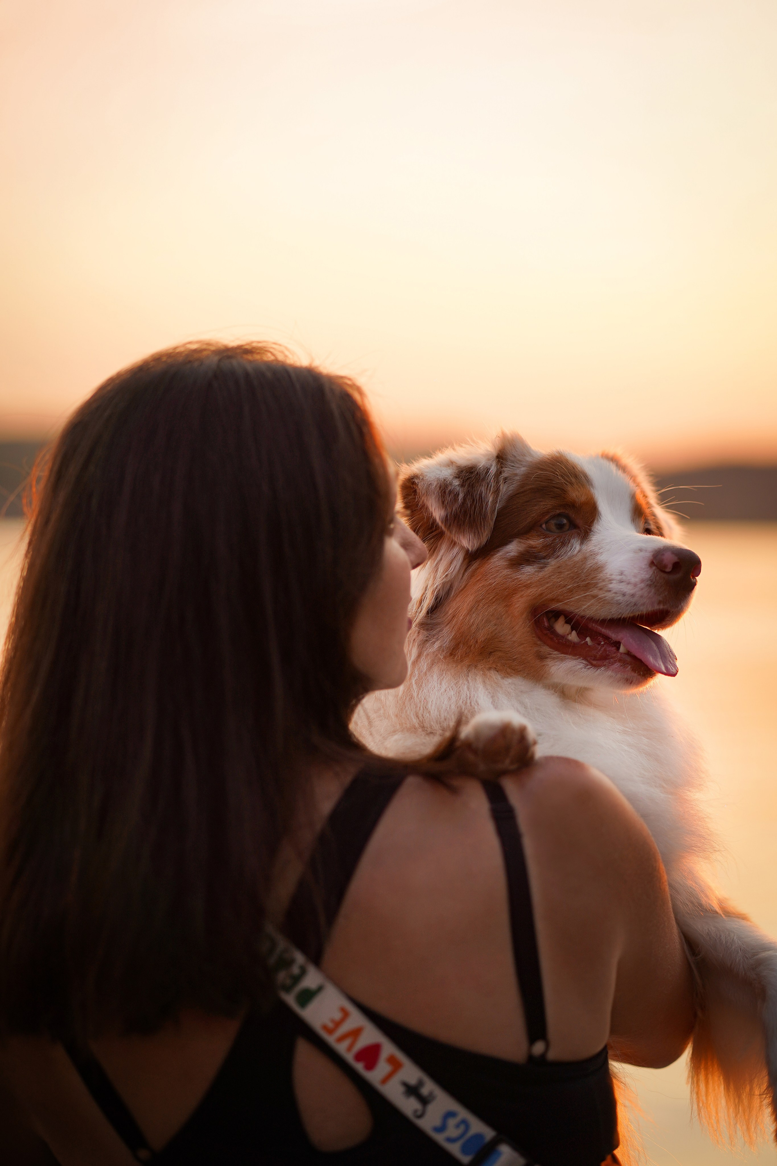 Панда SUP. Фотограф-анималист в Санкт-Петербурге Яна Мартынова