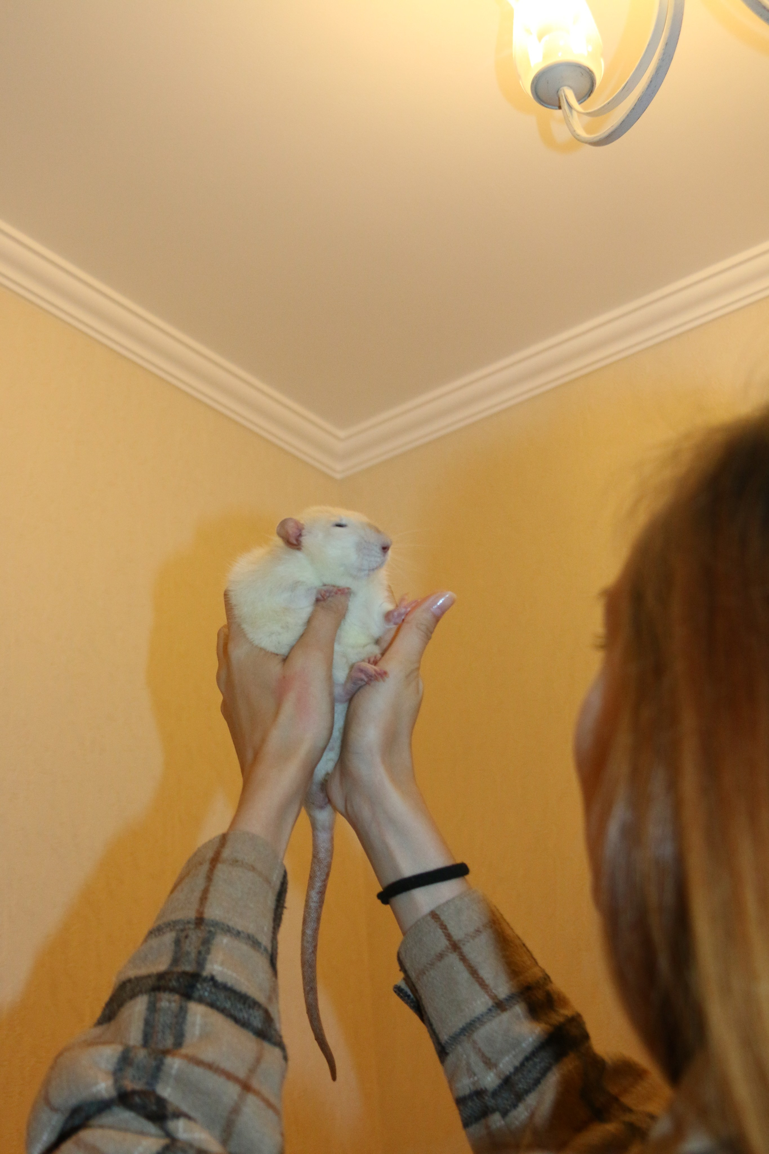 Съемка с питомцем