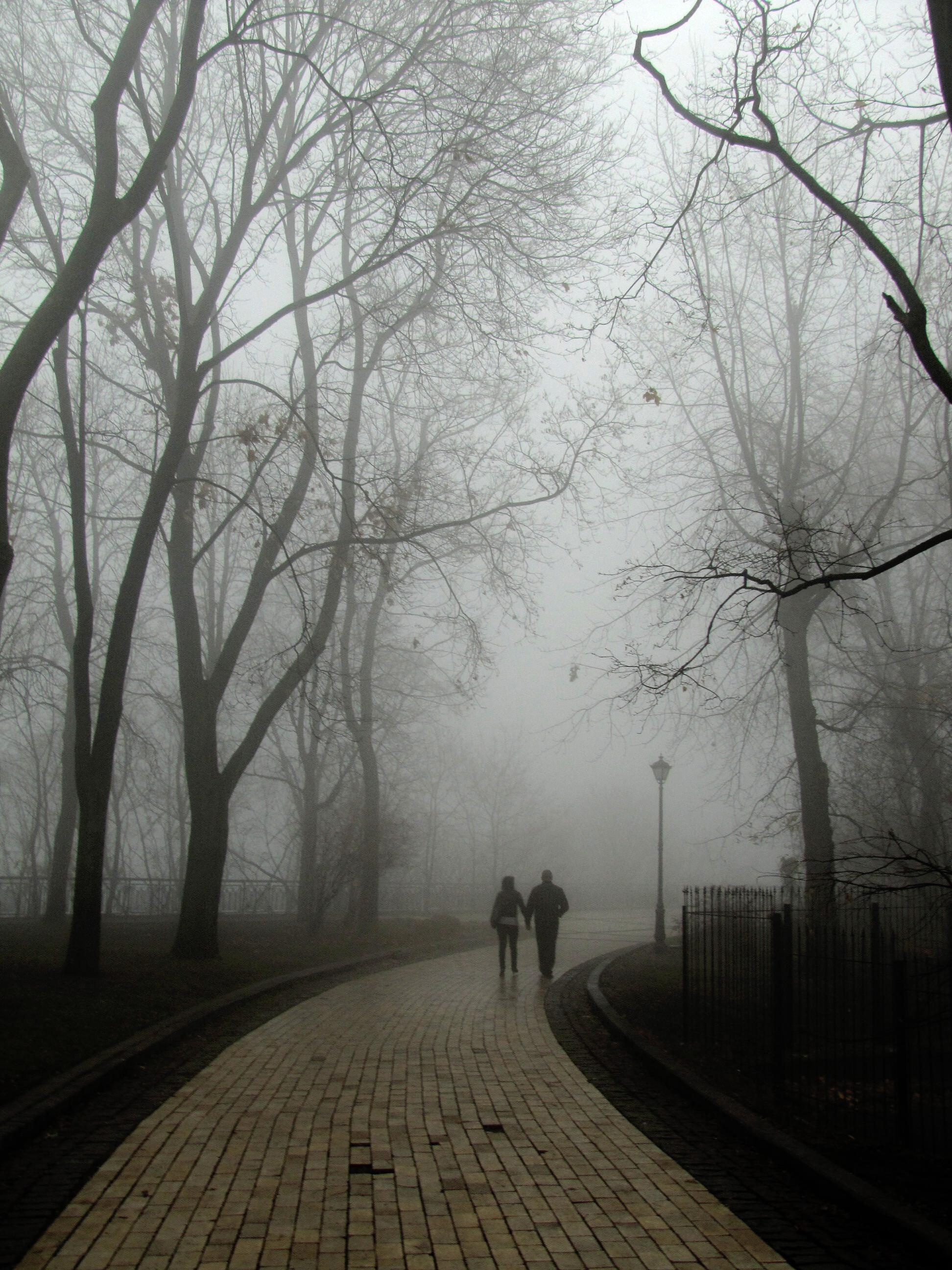 Пейзаж. Фотограф Елена Лагода