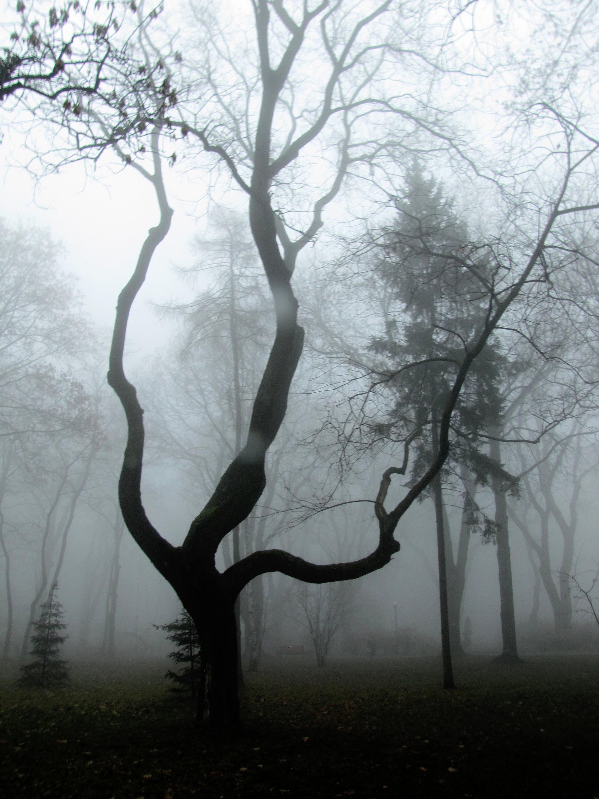 Пейзаж. Фотограф Елена Лагода