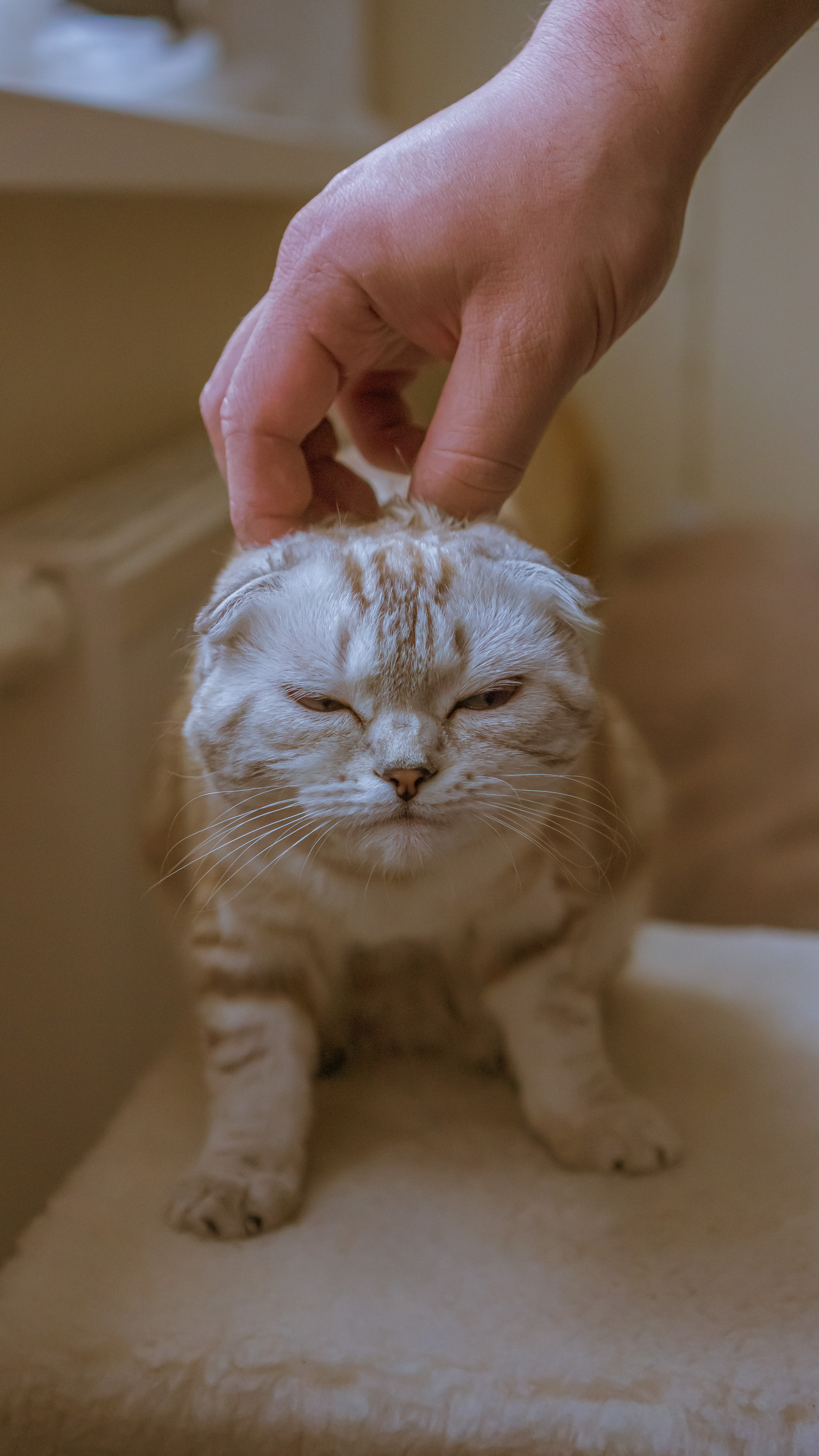 Ария. Фотограф в Кстово и Нижнем Новгороде KOLOSOK