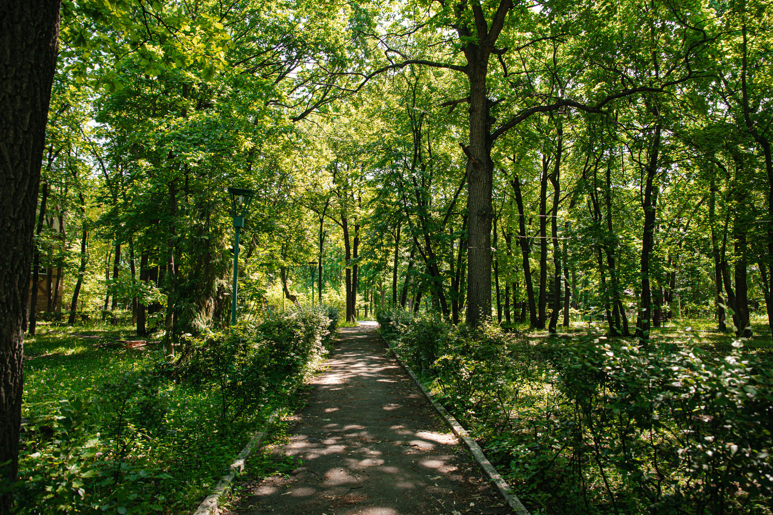 Пенсионат. Фотограф Санкт-Петербург
