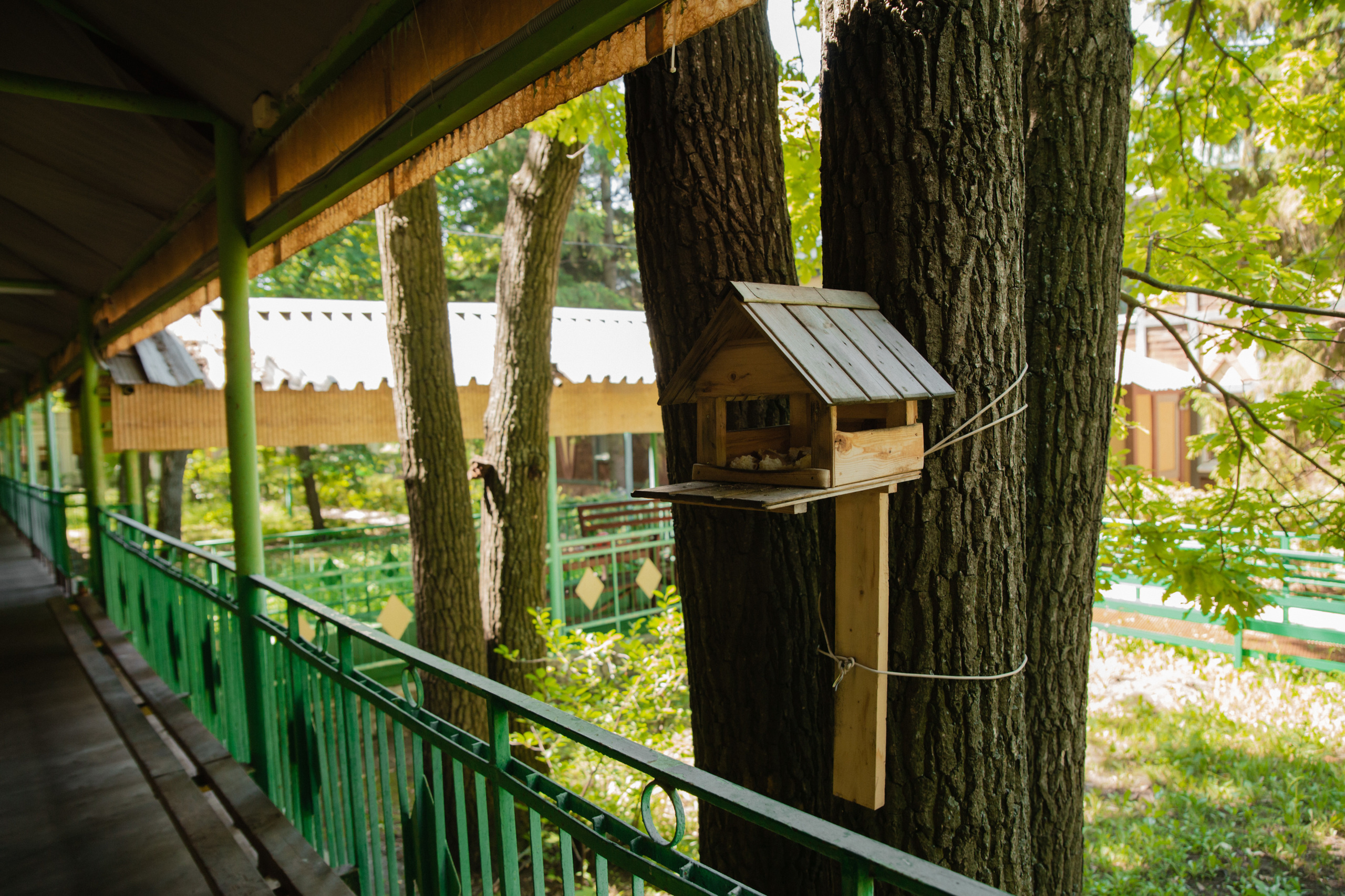 Пенсионат. Фотограф Санкт-Петербург