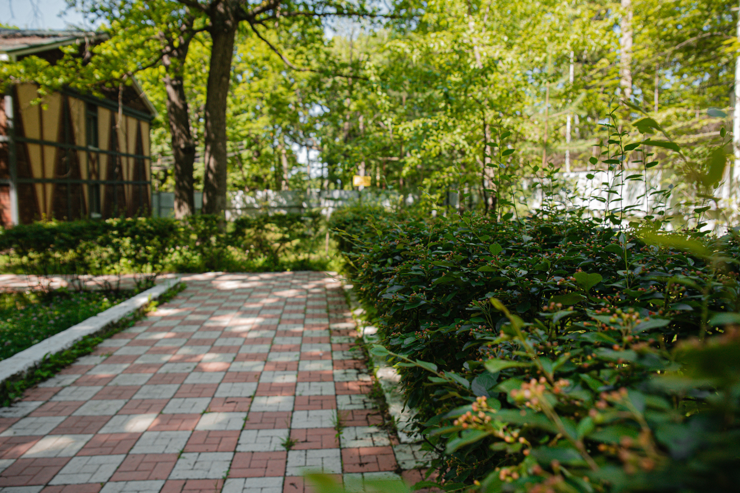 Пенсионат. Фотограф Санкт-Петербург