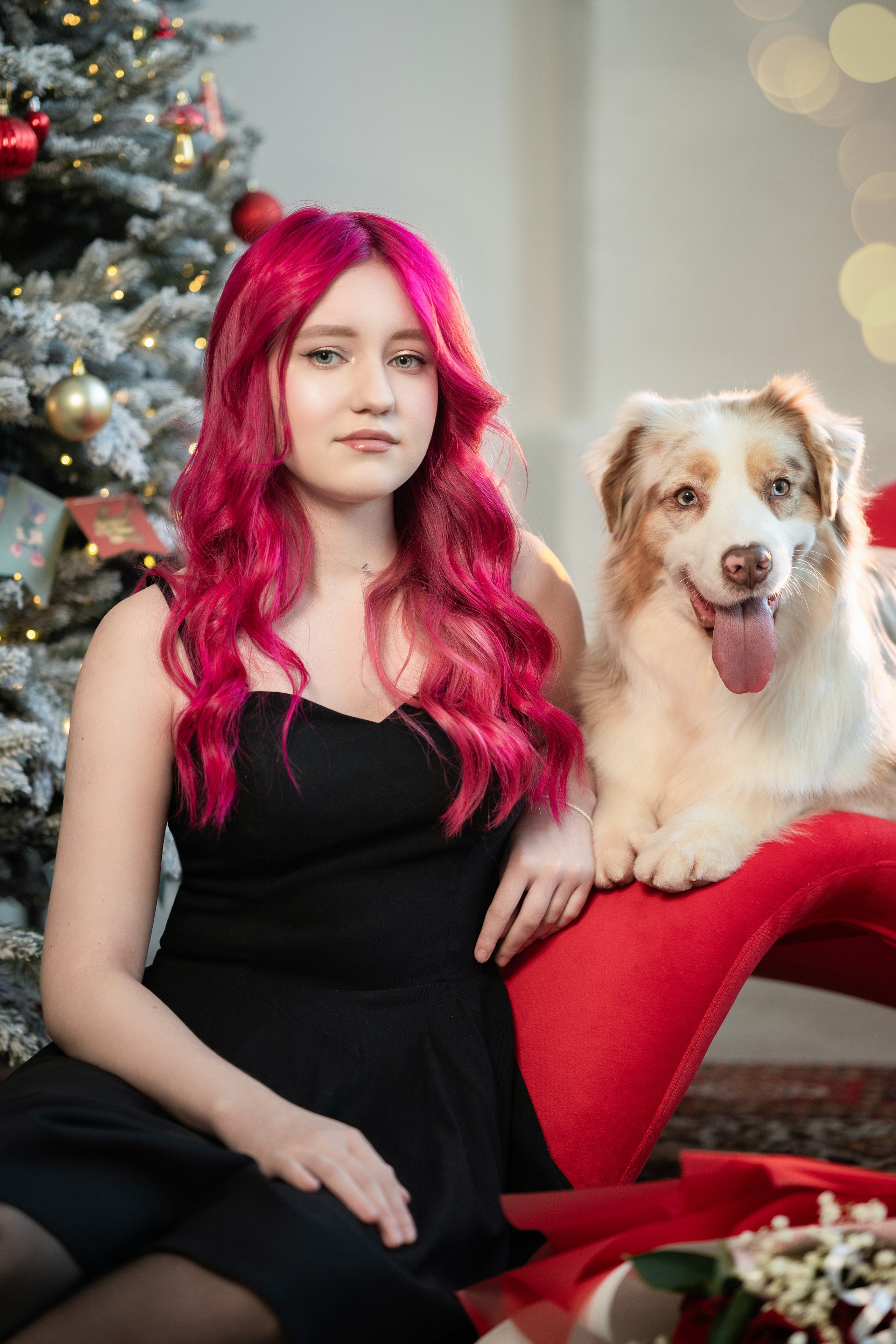 Фотодень с Австралийской овчаркой. Творческий фотограф Вологда