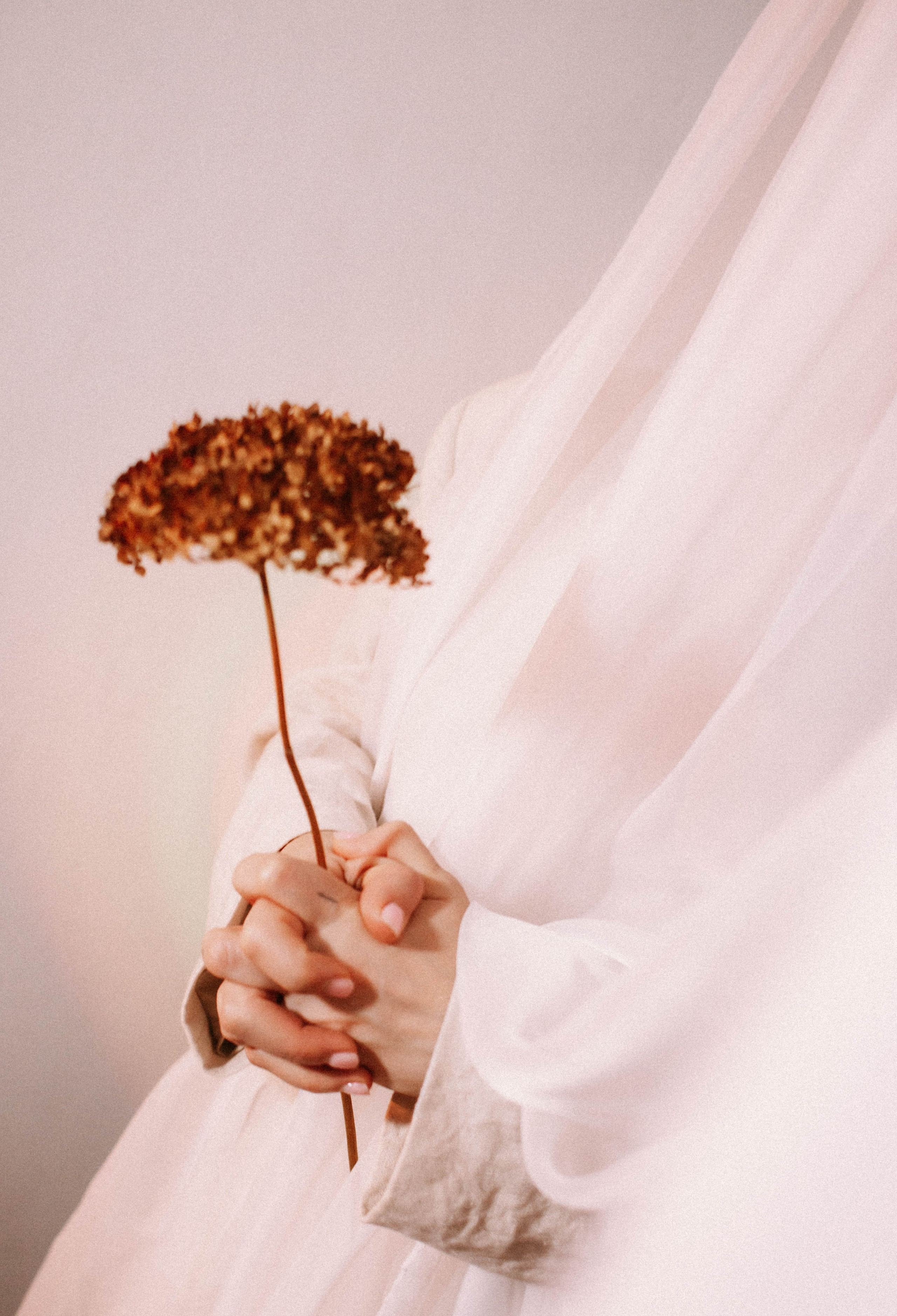 Алина. Домашняя студия. Фотограф в Нижнем Новгороде