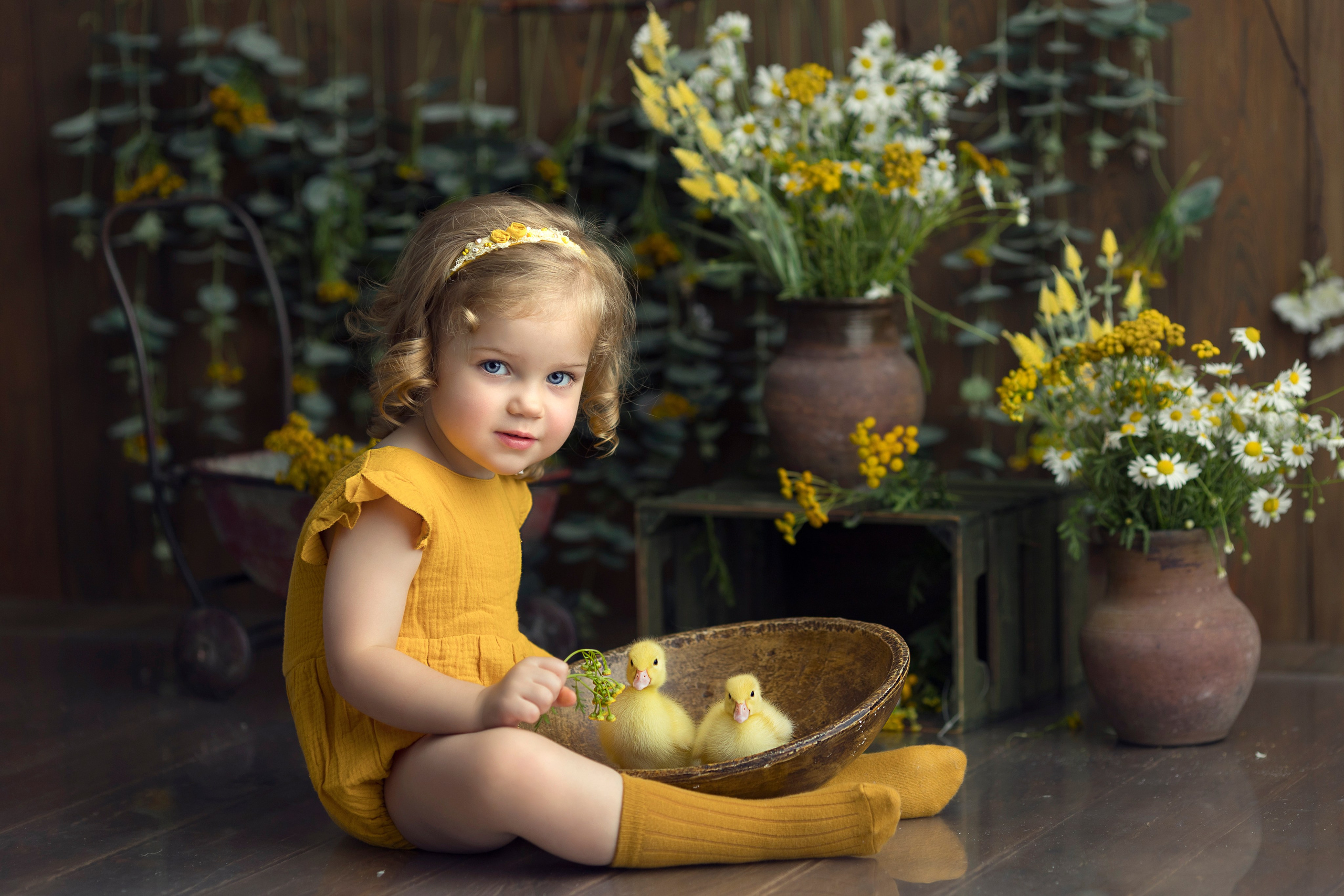 Утки. Главная