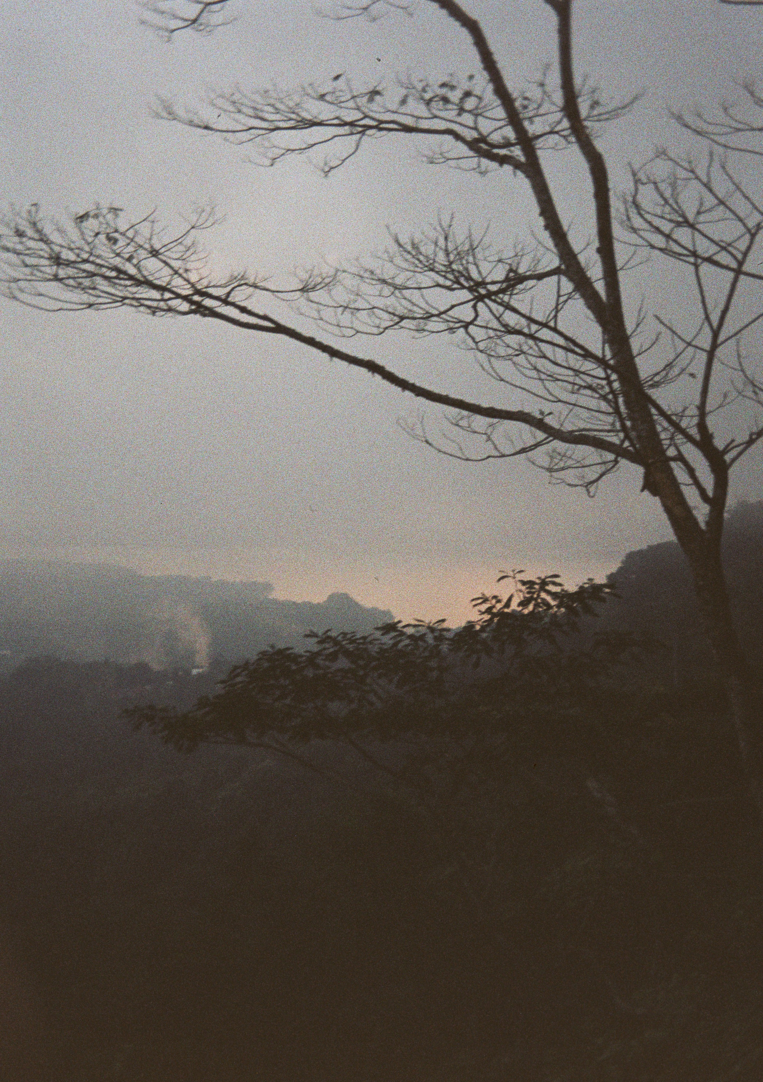 WIND. Виолетта Скрипка