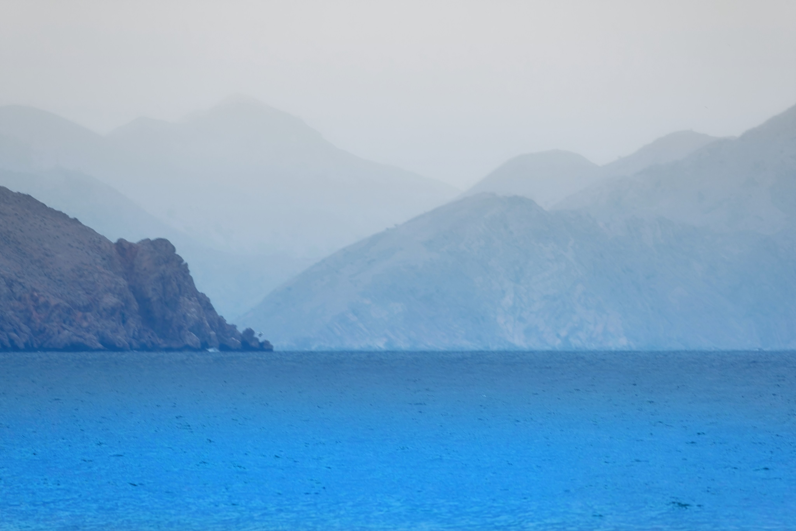 ПРИРОДА. Слепки времени. Фотографии природы и событий. Москва. Сергей Аллагулов