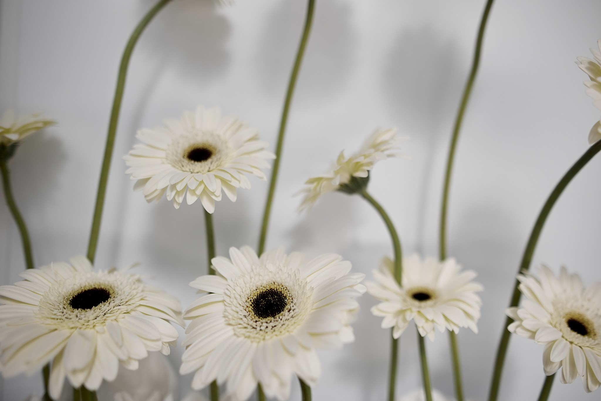 Галерея студии НикитинаДекор — вдохновляющие идеи для вашего мероприятия. Студия декора НикитинаДекор — оформление мероприятий в Ульяновске. Профессиональное создание эксклюзивных декораций