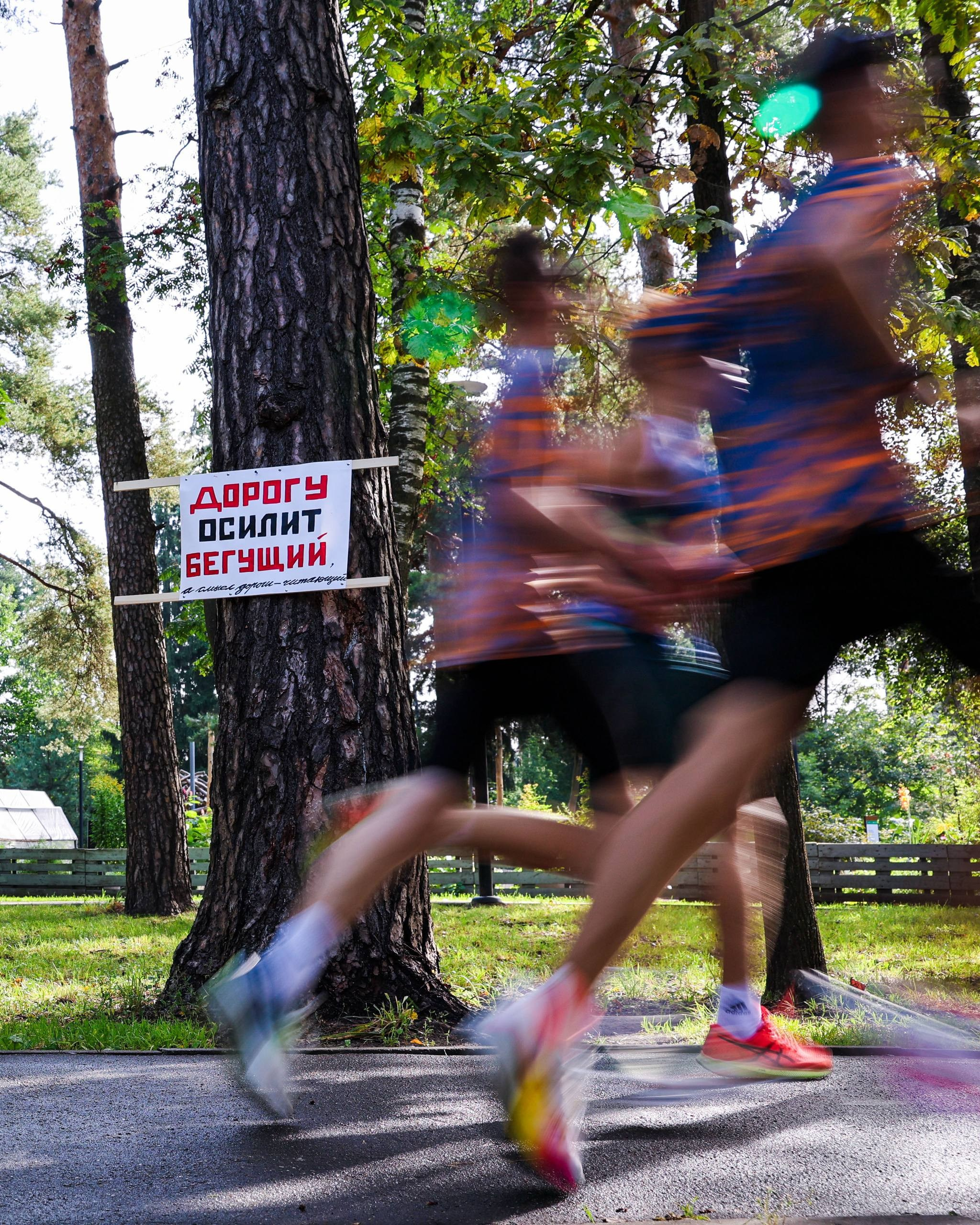 5 вёрст — Пестовский. Фотограф в Москве Андрей Поташов «Photashov»