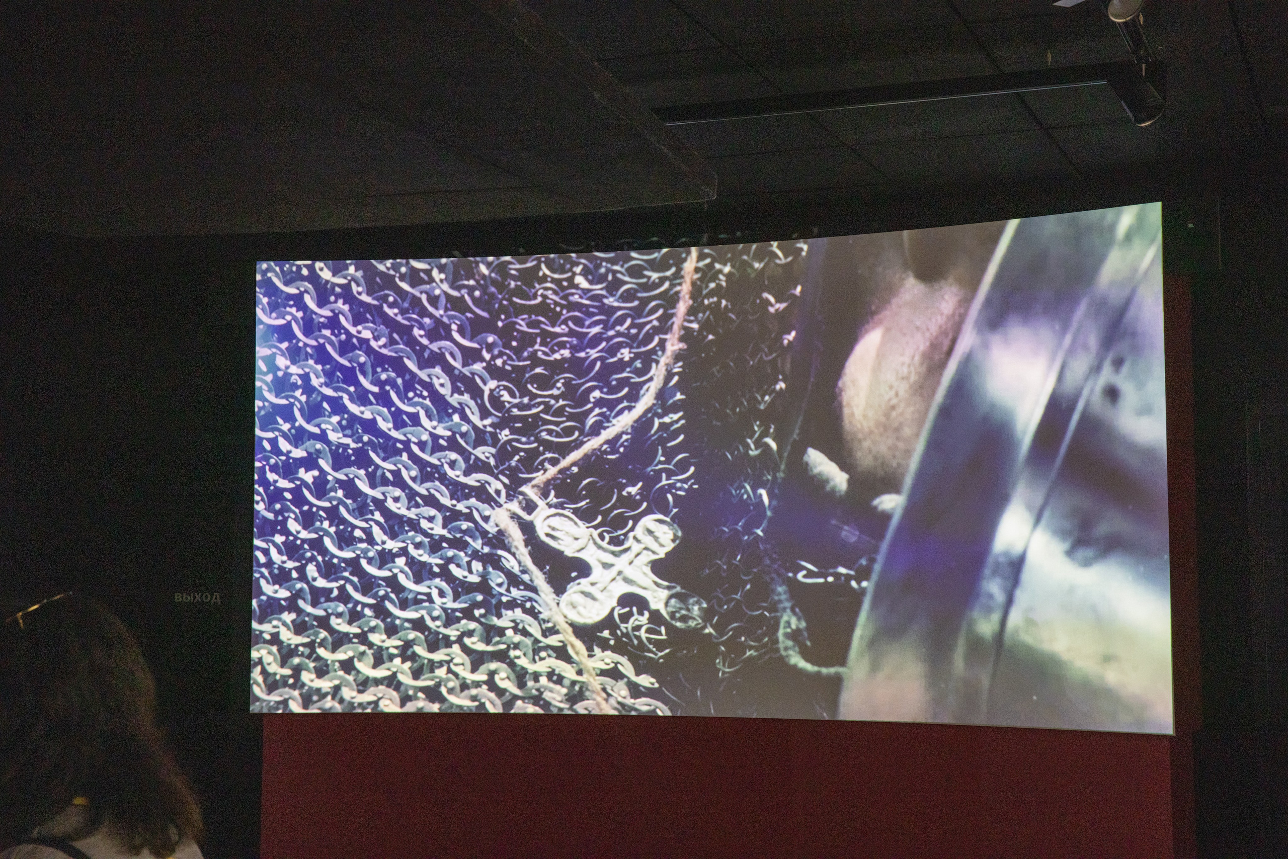 Поездка на поле Кулеково. Фотограф в Туле Крупский АнДРей. Фотостудия «КАДР71» в Туле