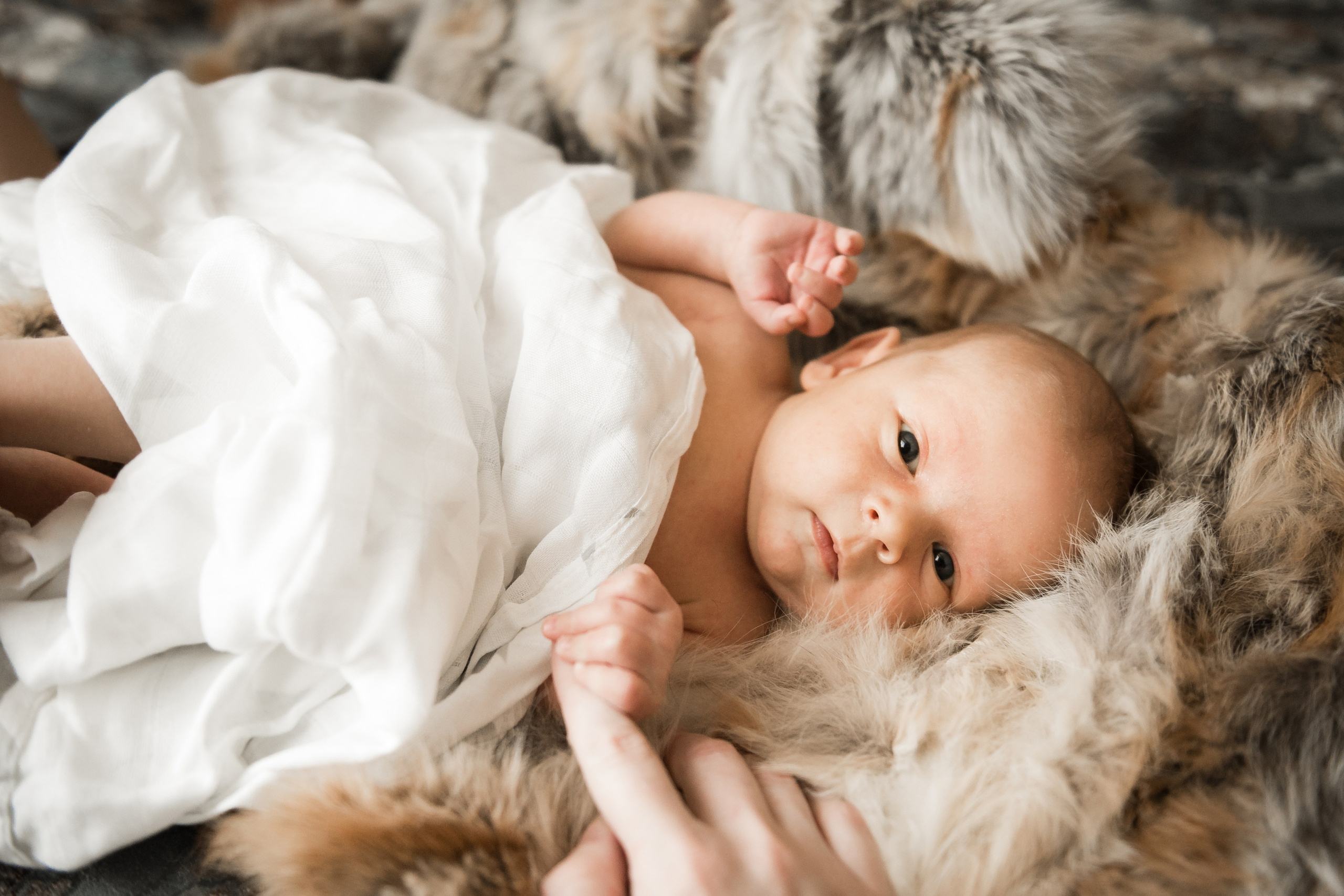 Антон, Владлена +2 :). Фотограф Егоров Констанин