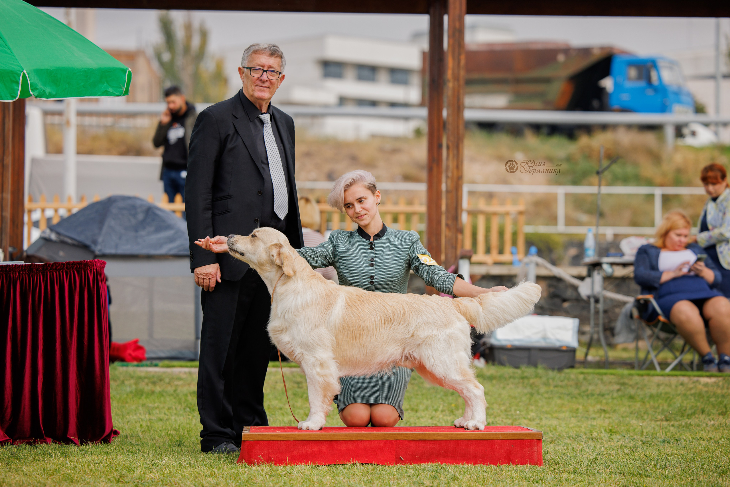 Армения,Ереван 3хCACIB 15-17.10.2024. Фотограф-анималист Юлия Германика