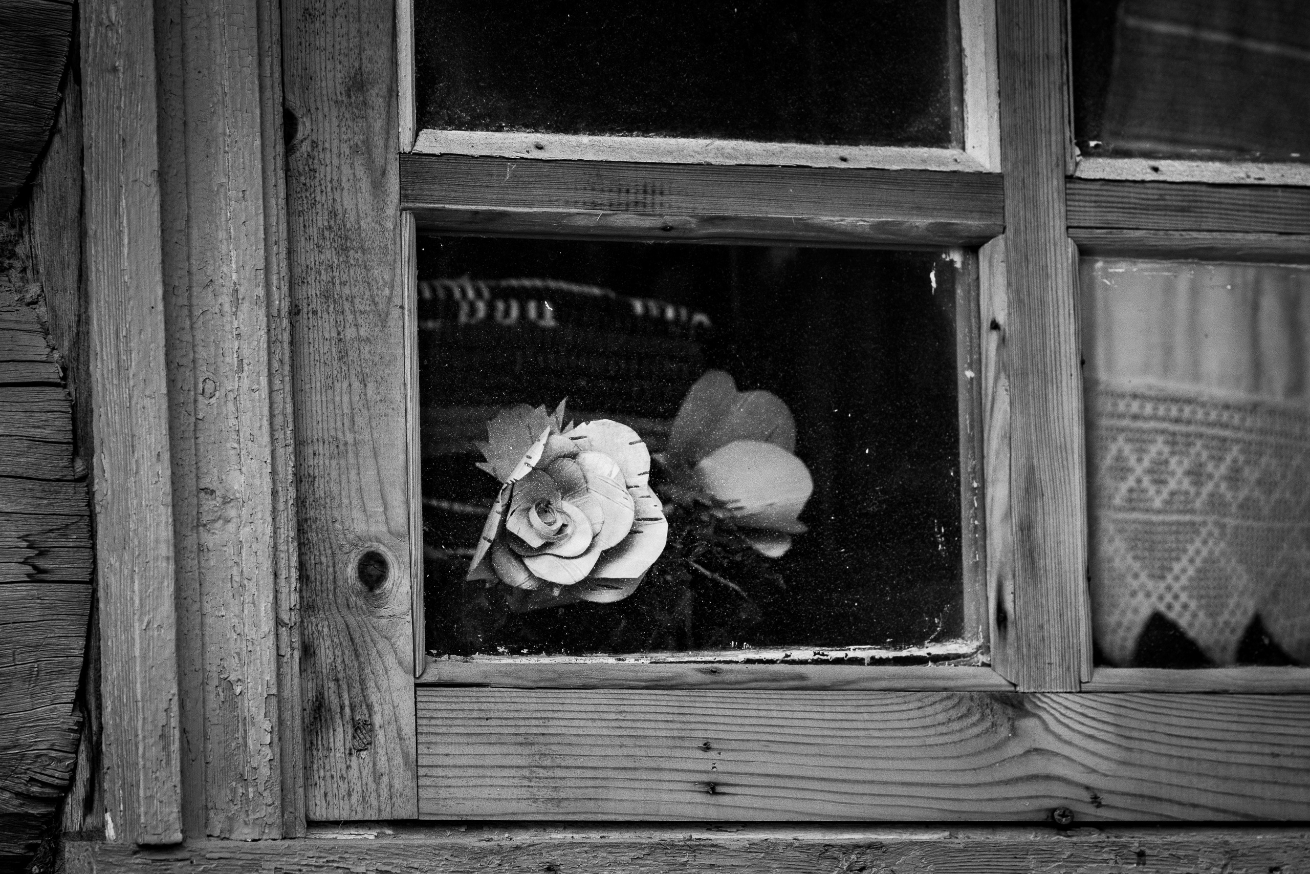 Деревня / Север I. Фотограф Антон Денисенко: Портрет, Документалистика, Пейзаж. Москва